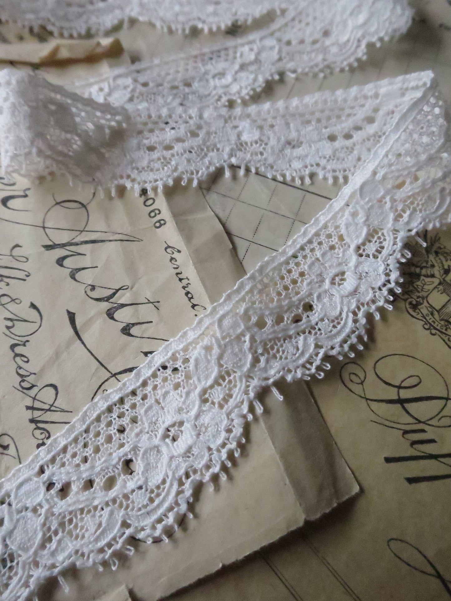 Off White English Nottingham Lace- Raised Floral Swags Point Lace- 2.5 cm
