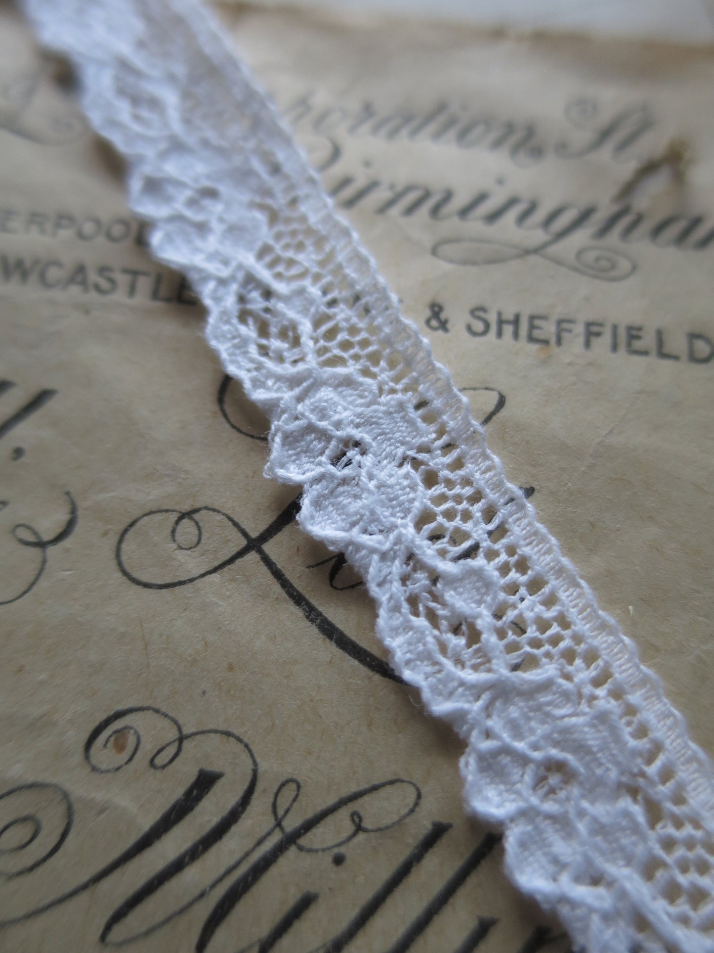 Off White English Nottingham Lace- Scalloped Raised Floral Guipure- 1.3 cm