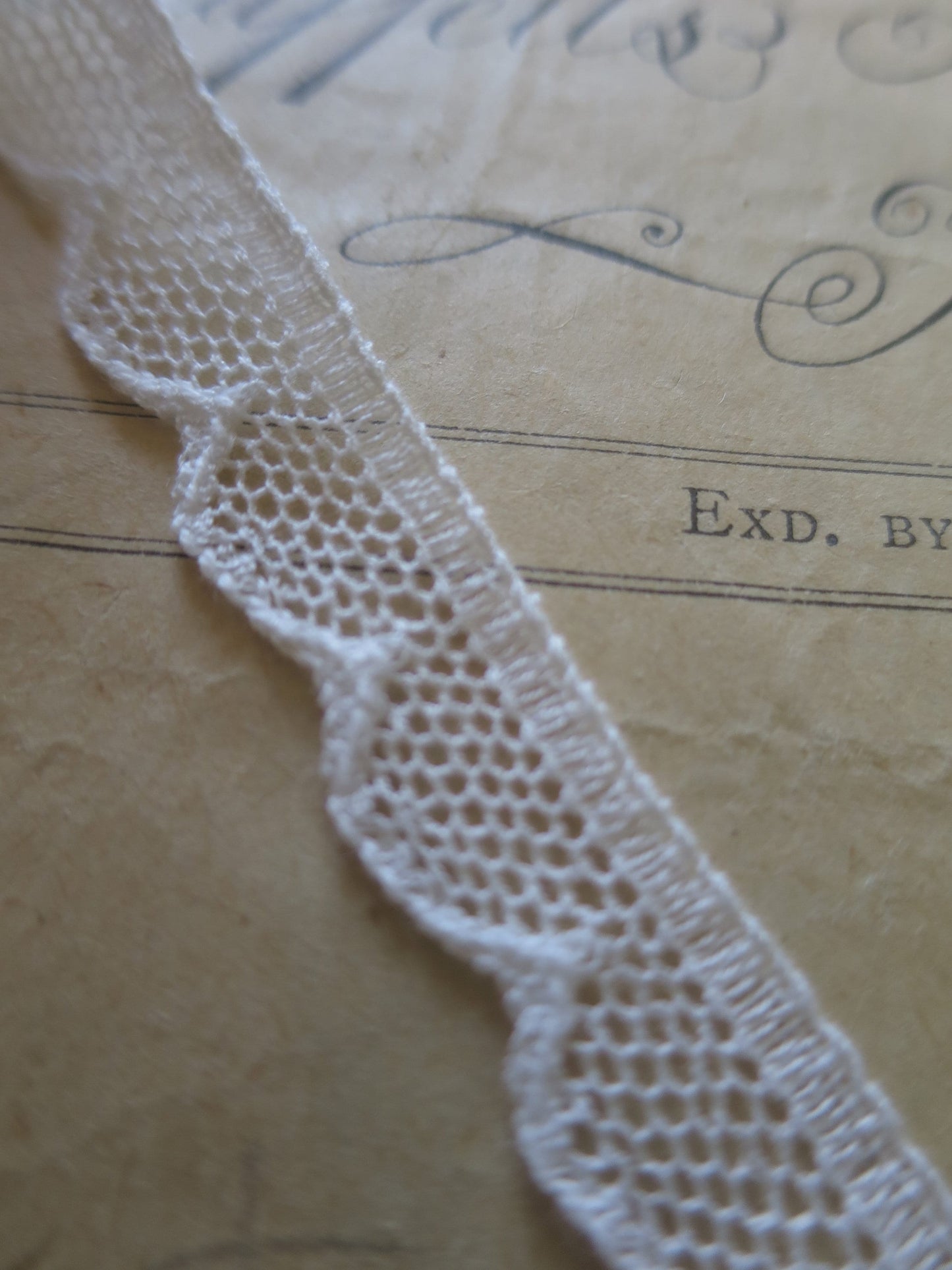 Off White English Nottingham Lace- Scalloped Net- 1.3 cm