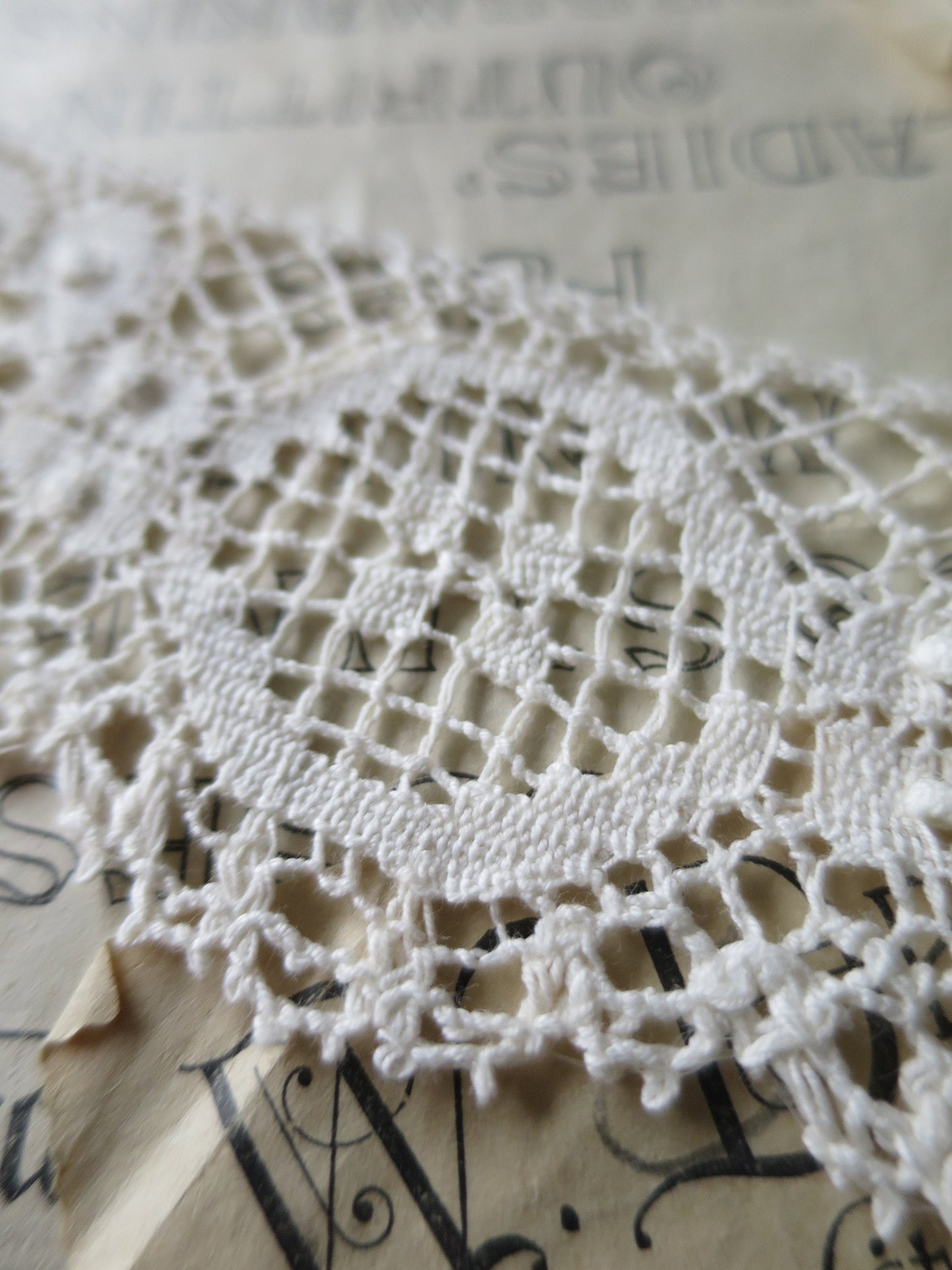 Ecru English Nottingham Cluny Lace- Raised Floral & Oval Torchon Guipure- 6 cm