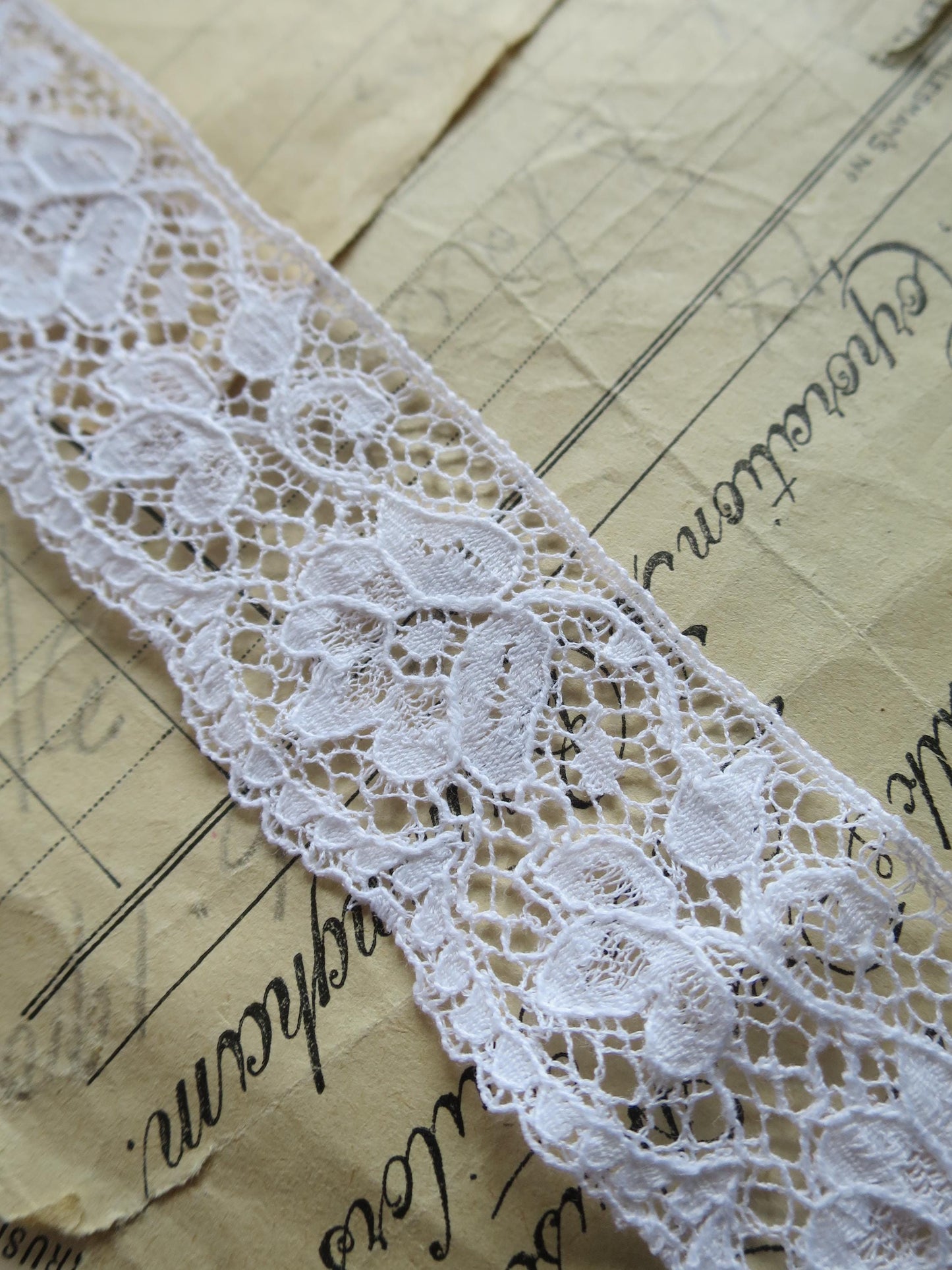 White English Nottingham Lace- Scalloped Raised Floral Guipure- 3.5 cm