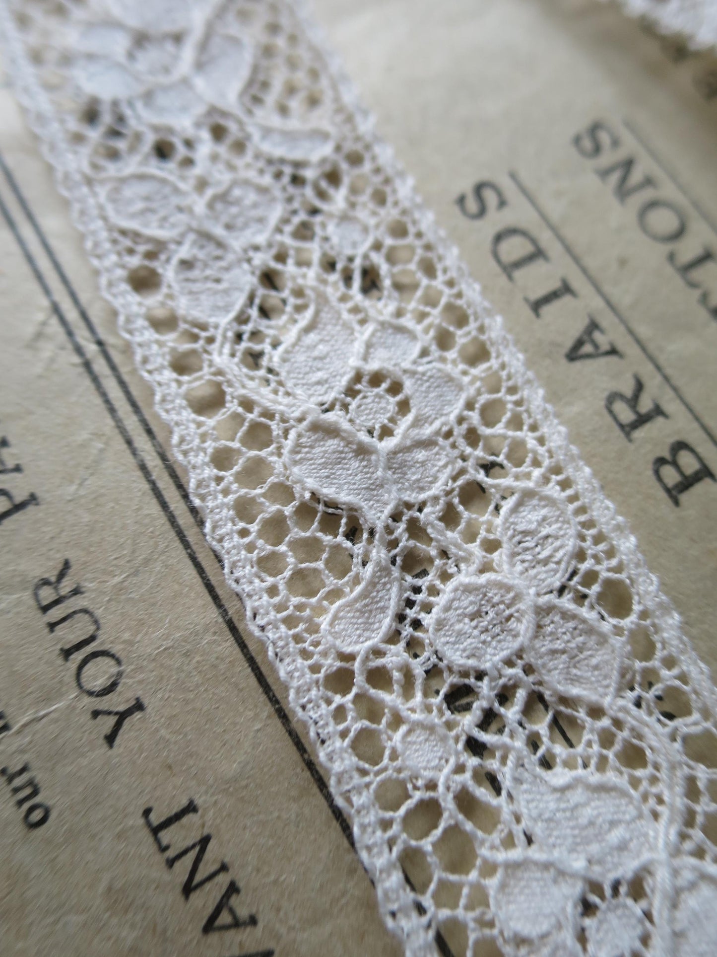 Ecru English Nottingham Lace- Raised Floral Guipure- Insertion- 2.7 cm
