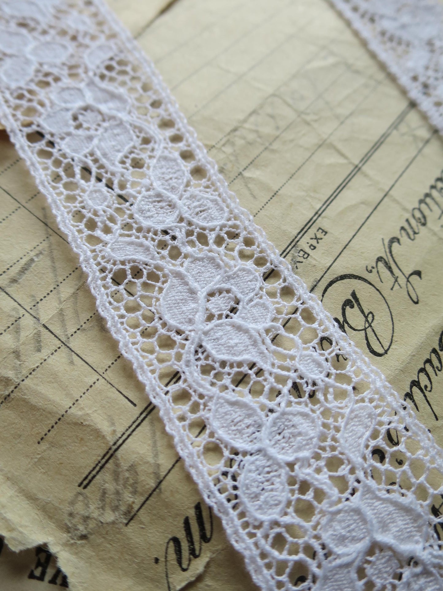 White English Nottingham Lace- Raised Floral Guipure- Insertion- 2.7 cm