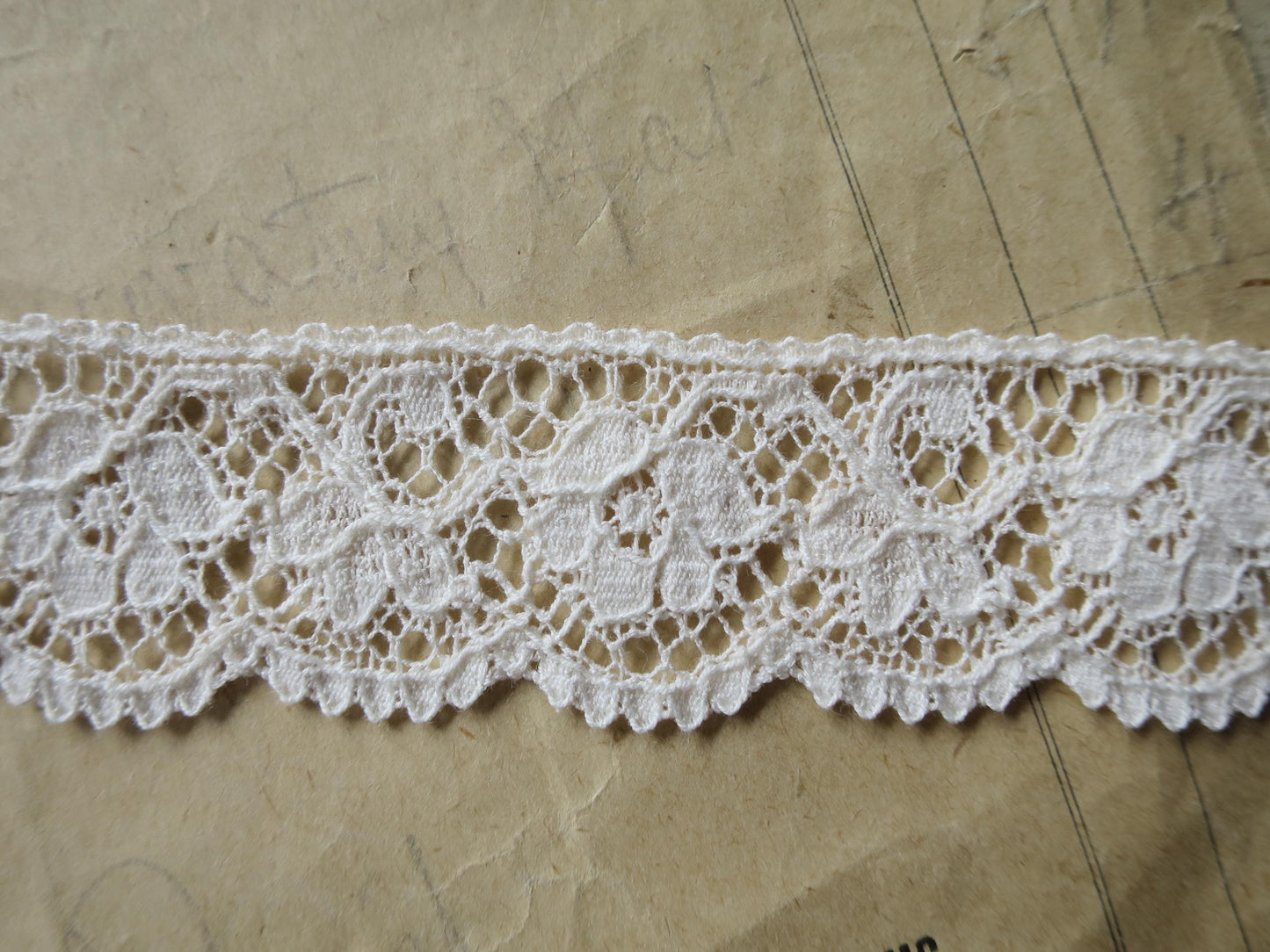 Ecru English Nottingham Lace- Scalloped Raised Floral Guipure- 2.7 cm