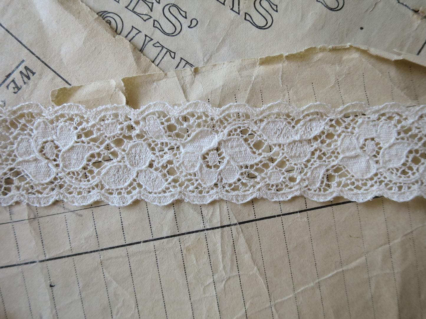 Ecru English Nottingham Lace- Scalloped Raised Floral Guipure- Galloon- 2.7 cm