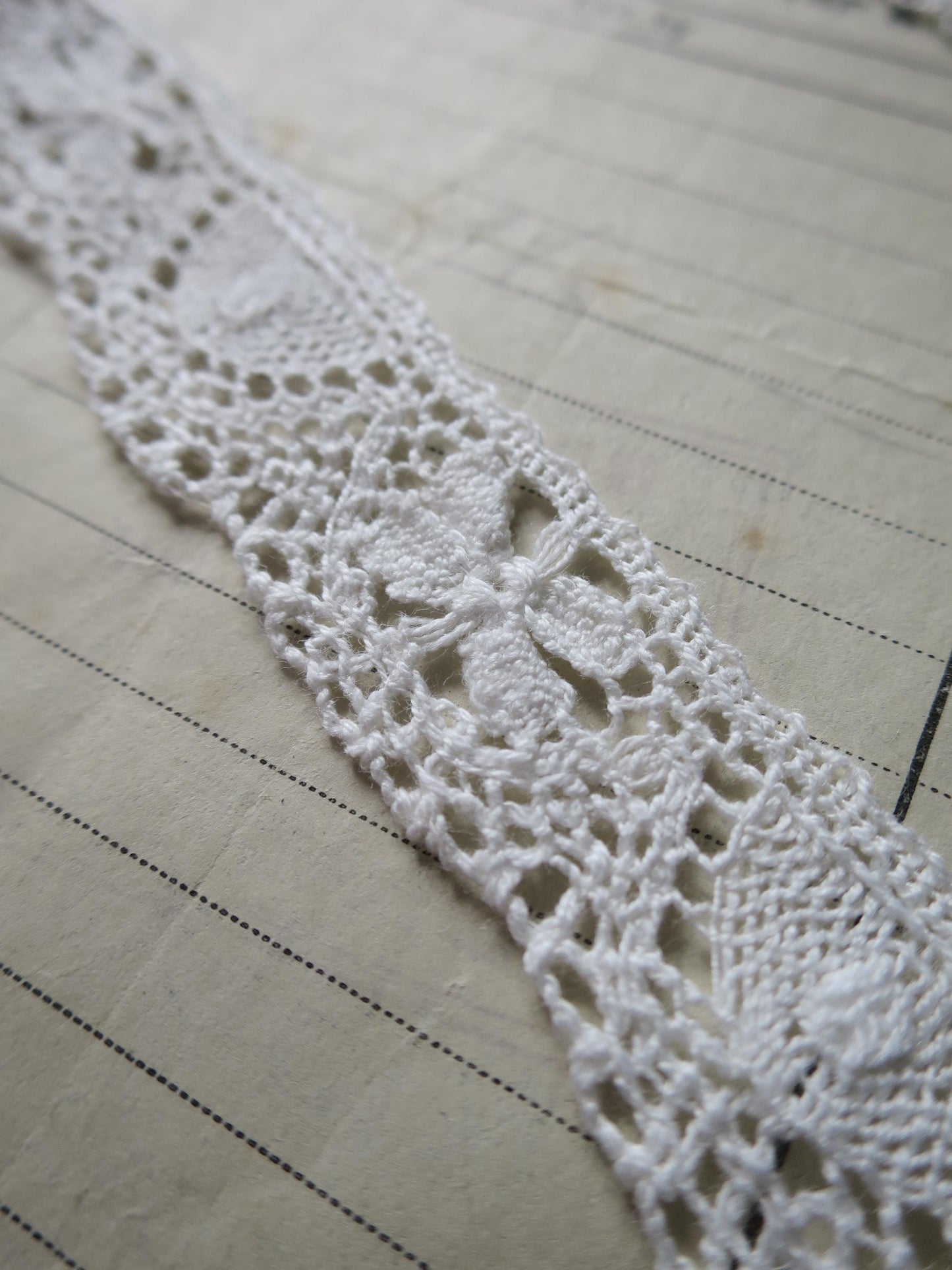 Off White English Nottingham Cluny Lace- Butterflies & Cartouches- 2.3 cm