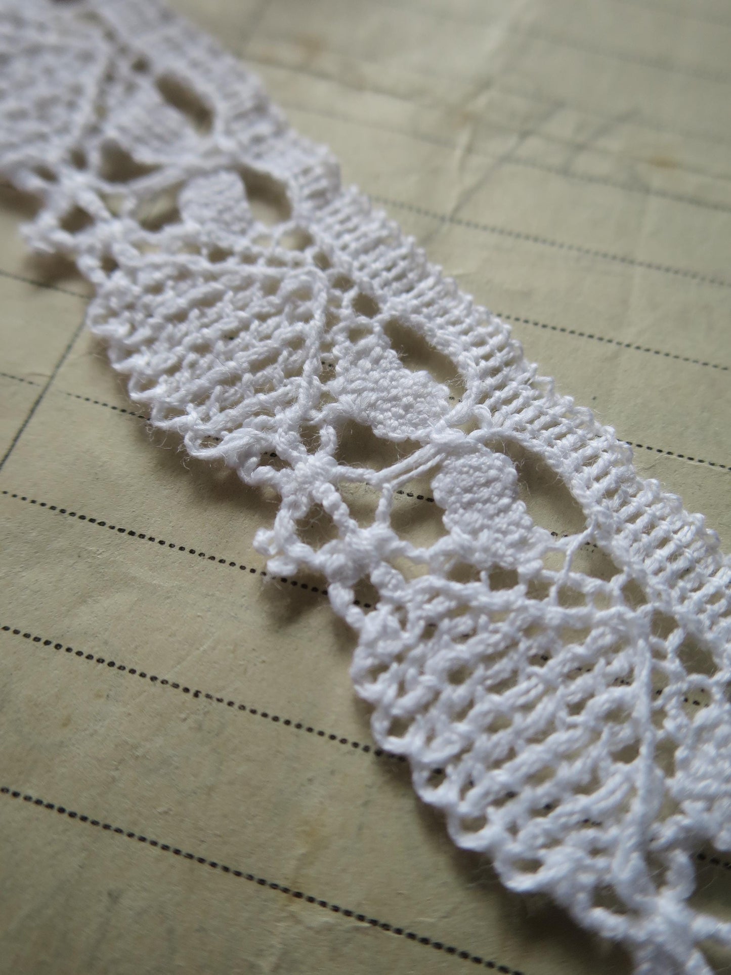 Off White English Nottingham Cluny Lace- Dragonflies & Cartouches- 2.3 cm