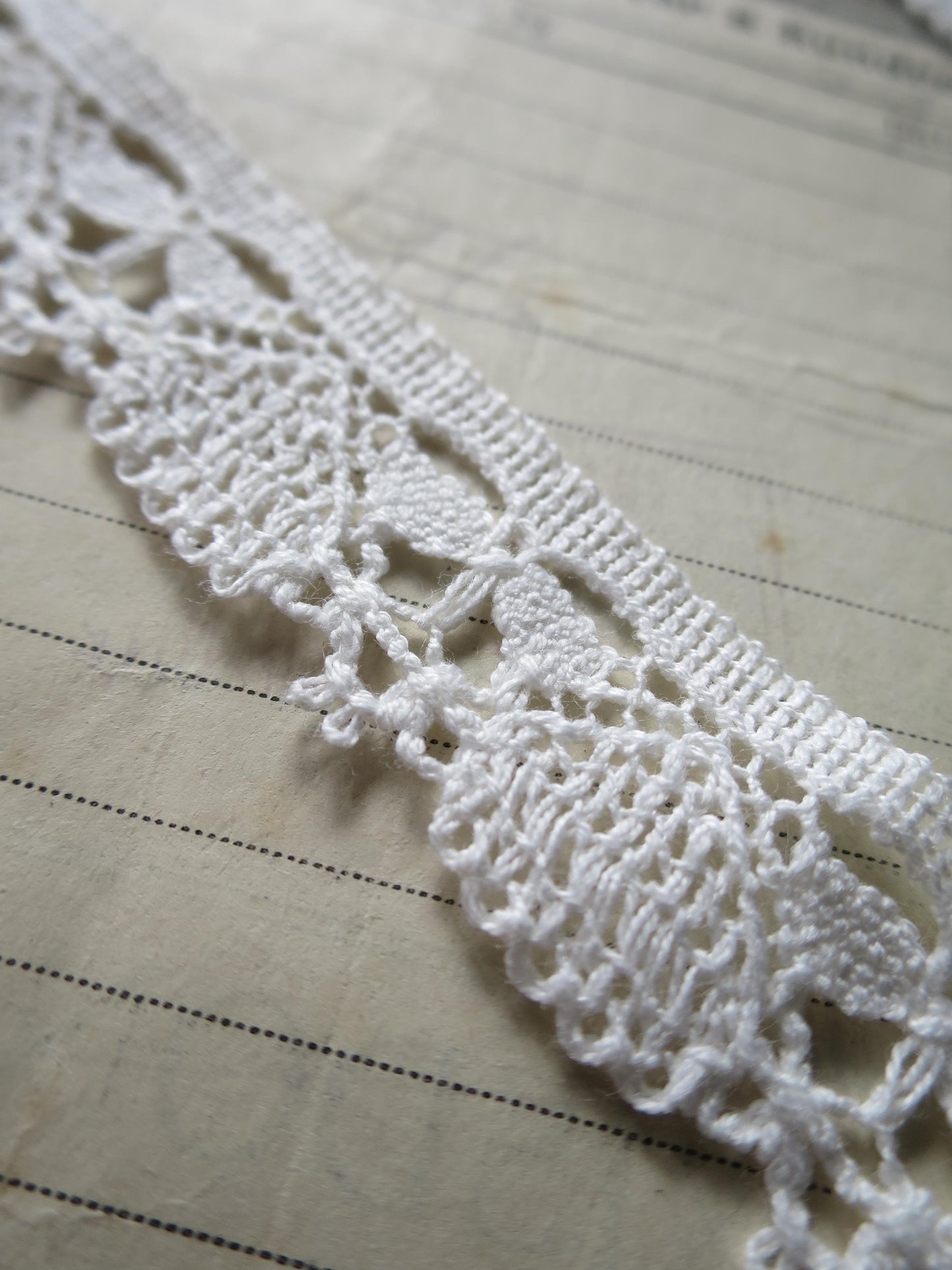White English Nottingham Cluny Lace- Dragonflies & Cartouches- 2.3 cm