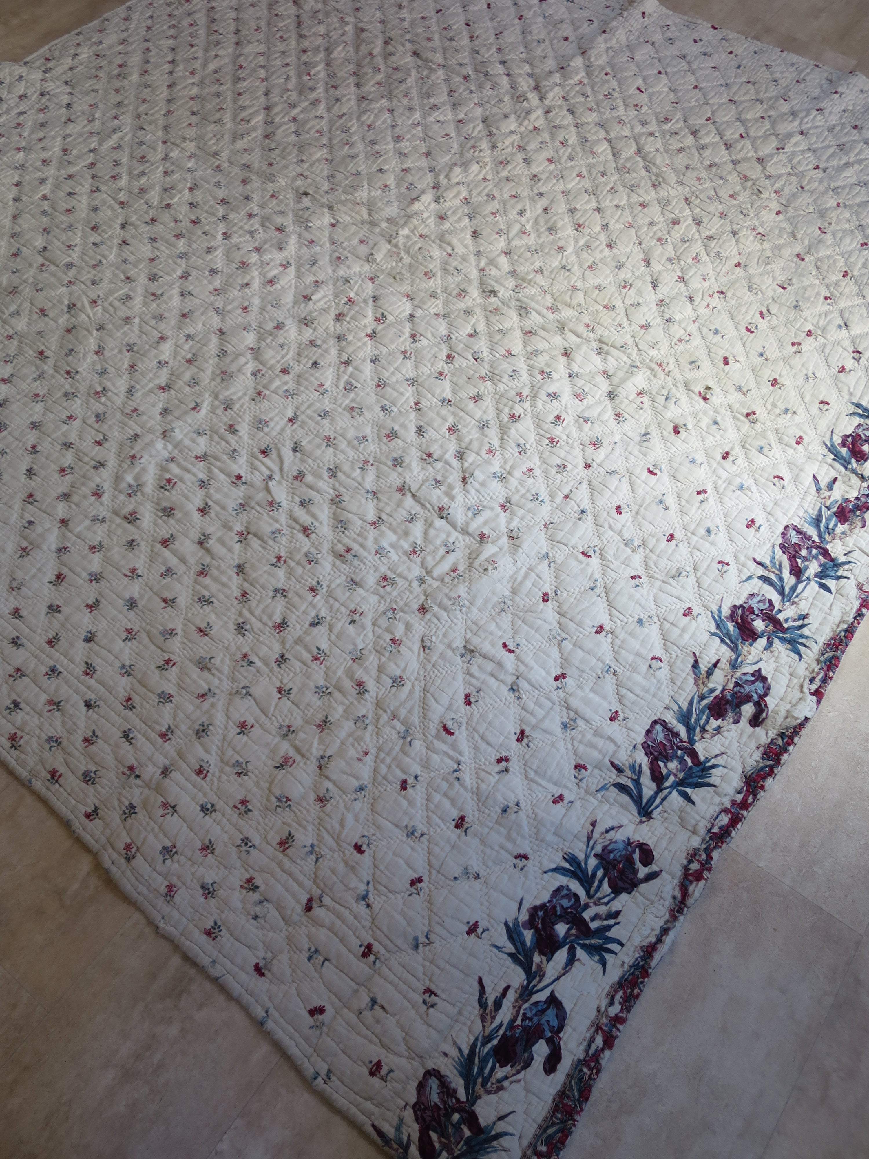 Late 18th-Century French Provençal Quilt with Block-Printed Iris Border