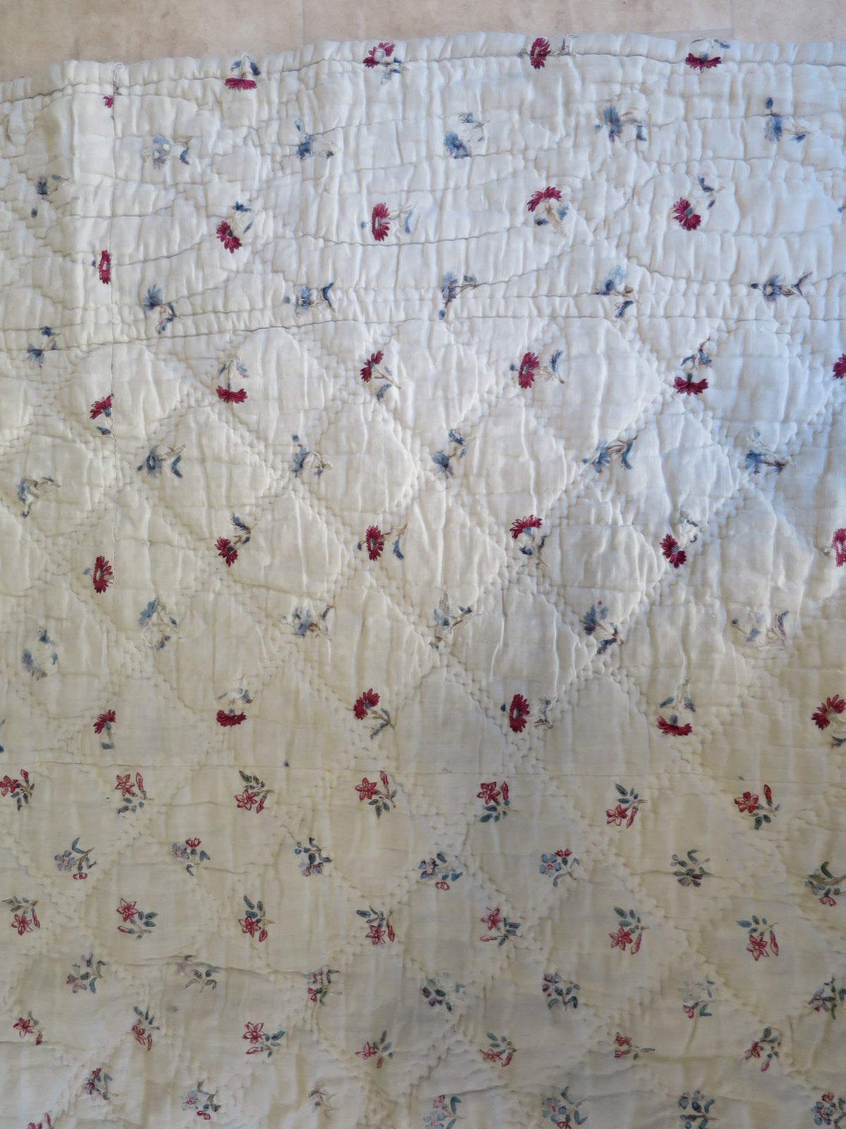 Late 18th-Century French Provençal Quilt with Block-Printed Iris Border