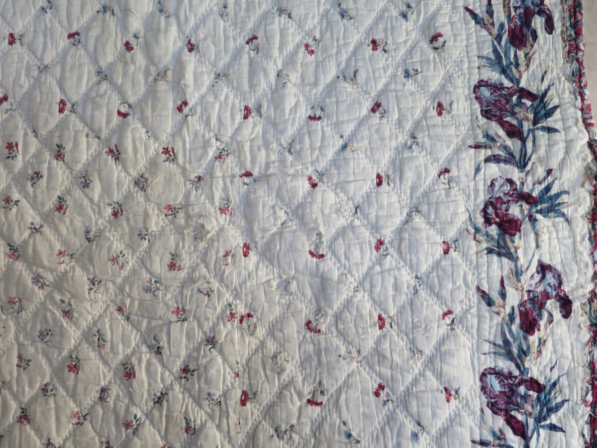 Late 18th-Century French Provençal Quilt with Block-Printed Iris Border