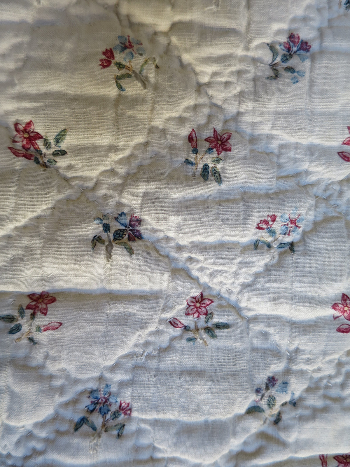 Late 18th-Century French Provençal Quilt with Block-Printed Iris Border