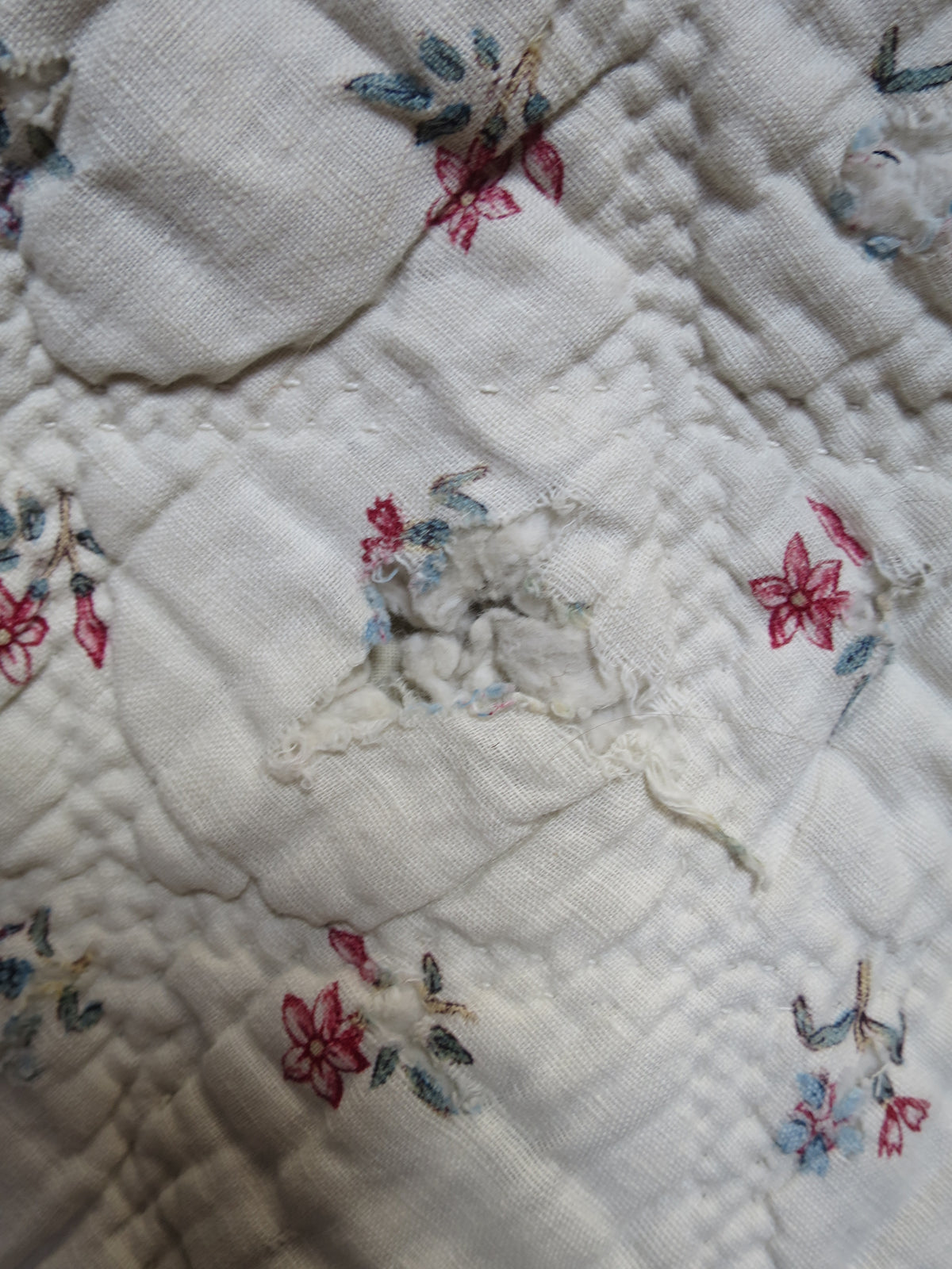 Late 18th-Century French Provençal Quilt with Block-Printed Iris Border