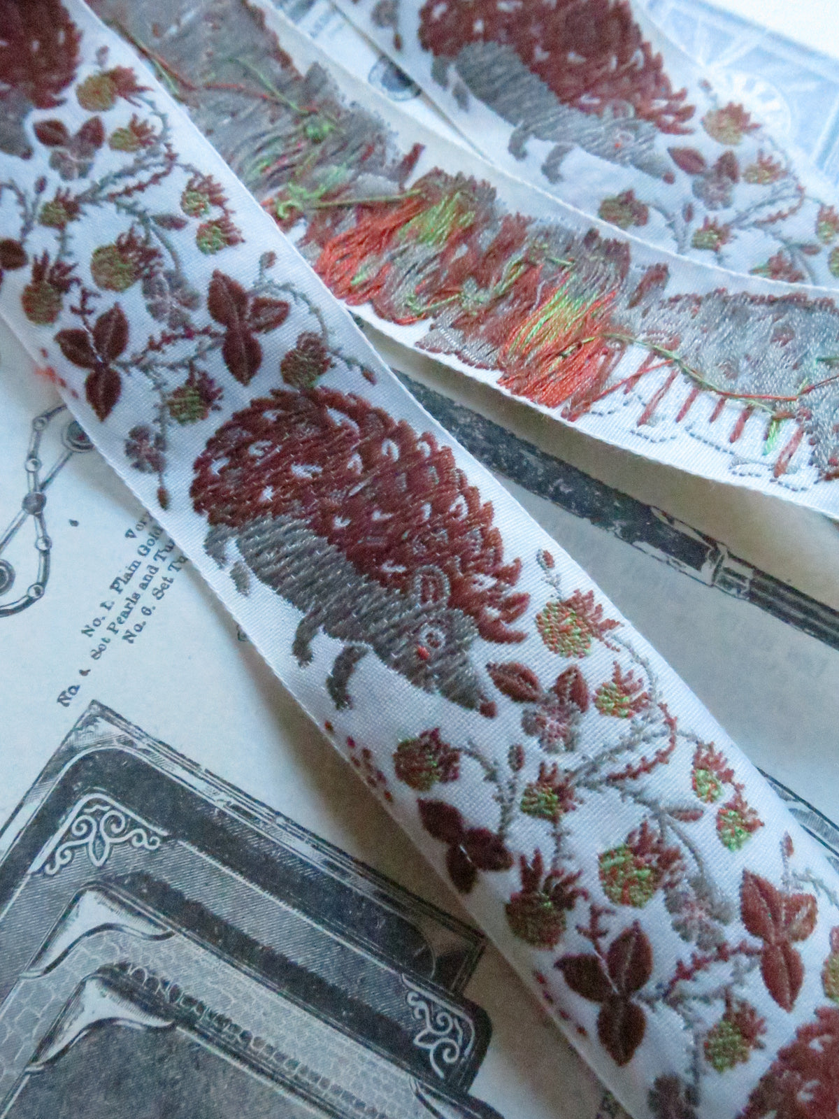Hedgehogs & Brambles 32 mm Jacquard Woven Ribbon- Off White