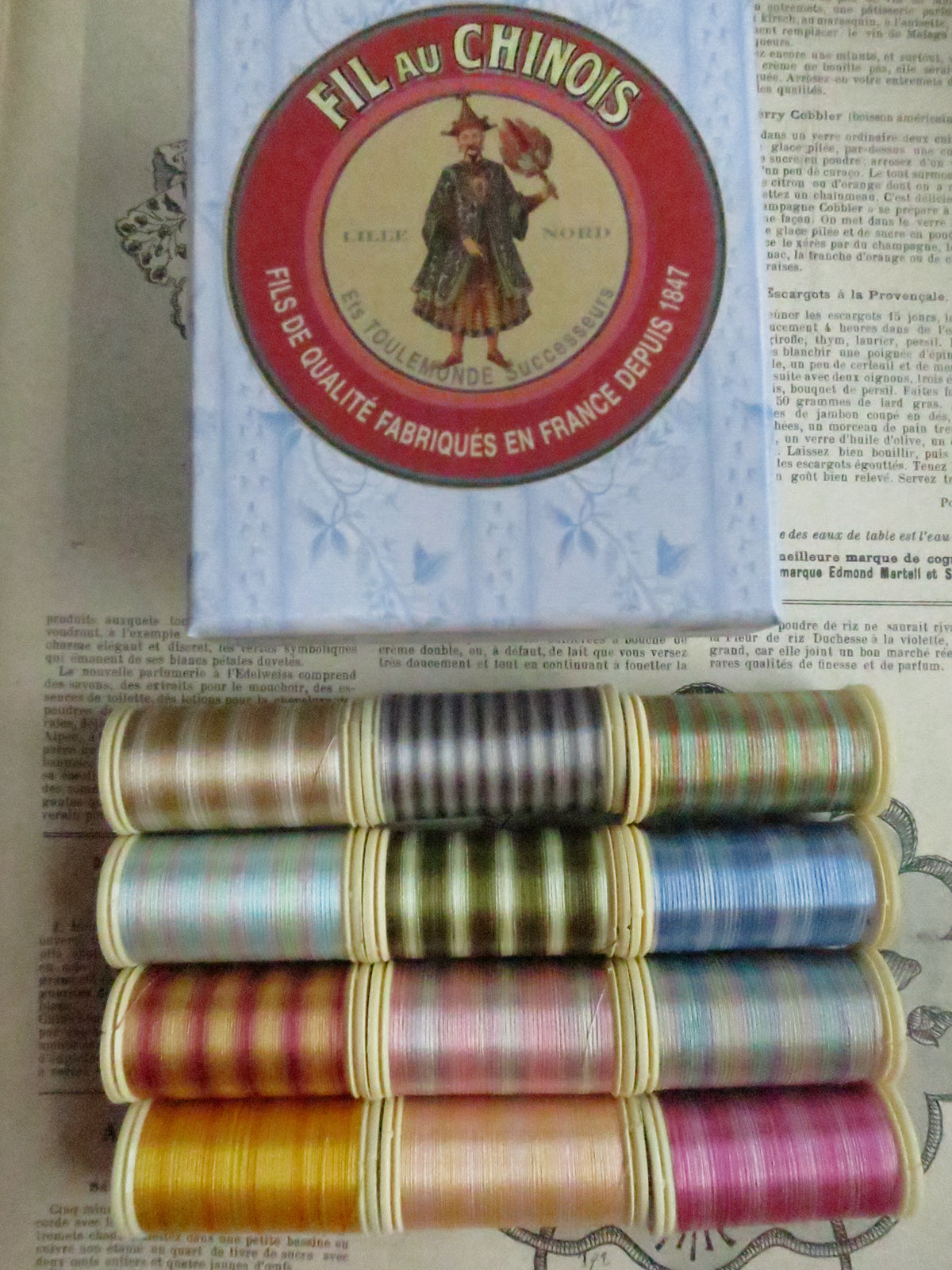Sajou Boxed Set 12 Glossy Varigated Thread/ Fil Multicolore Brilliant- No. 2- Pastel Tones