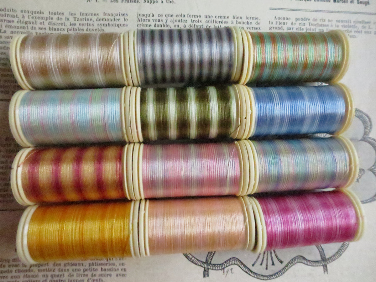 Sajou Boxed Set 12 Glossy Varigated Thread/ Fil Multicolore Brilliant- No. 2- Pastel Tones