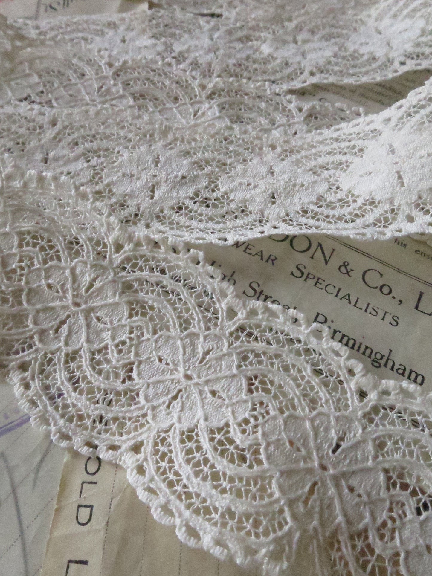 Ecru English Nottingham Lace- Raised Floral- Galloon- 5.5 cm