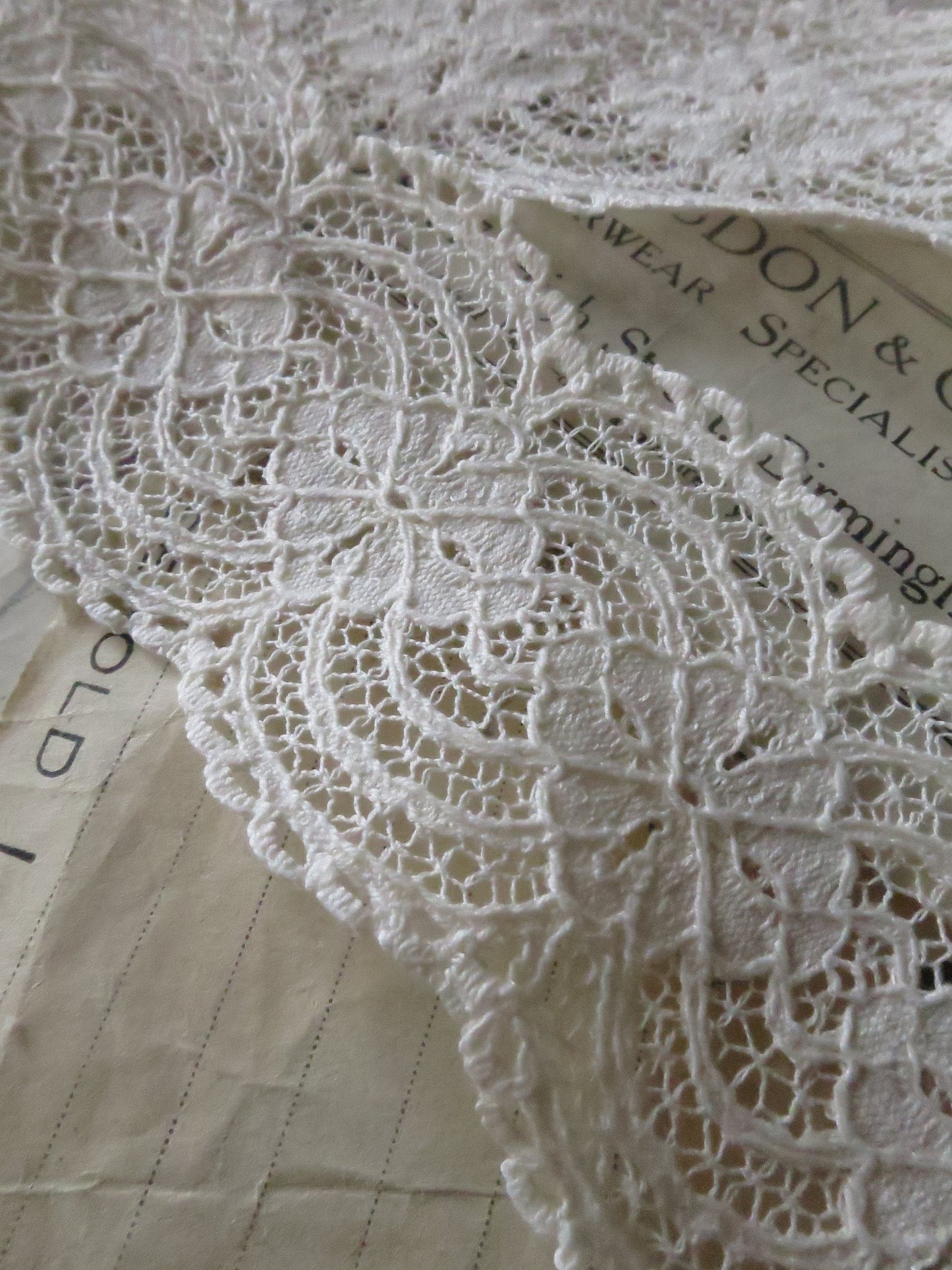 Ecru English Nottingham Lace- Raised Floral- Galloon- 5.5 cm