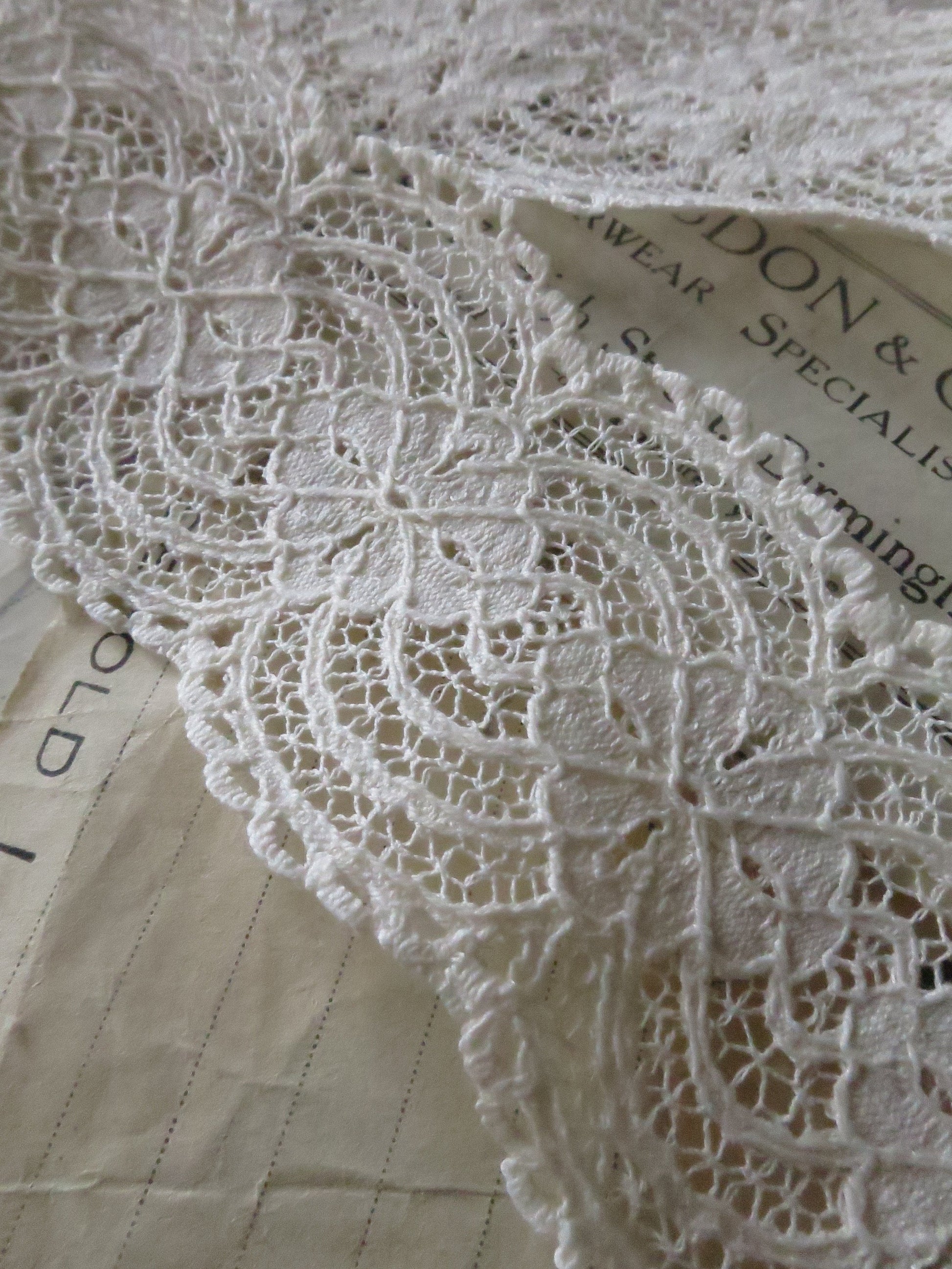 Ecru English Nottingham Lace- Raised Floral- Galloon- 5.5 cm