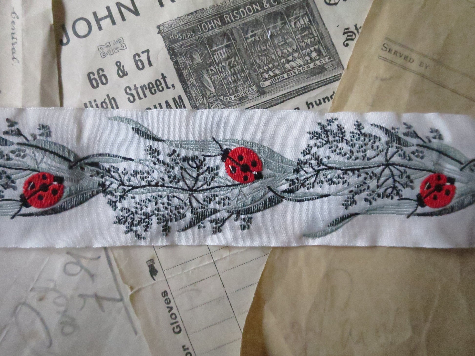 Ladybirds 40 mm Jacquard Woven Ribbon- White