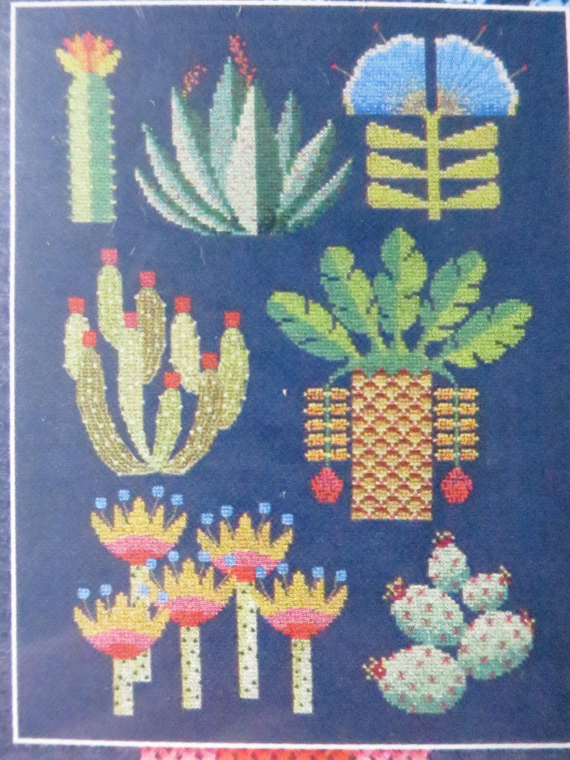 Botanical Desert Cross Stitch Embroidery Kit DMC