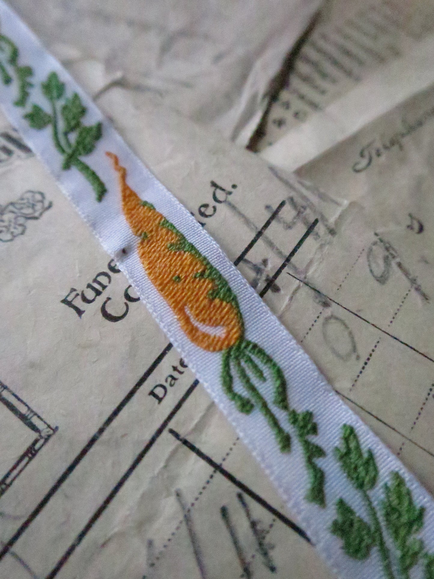 Carrots 10 mm Jacquard Woven Ribbon- White