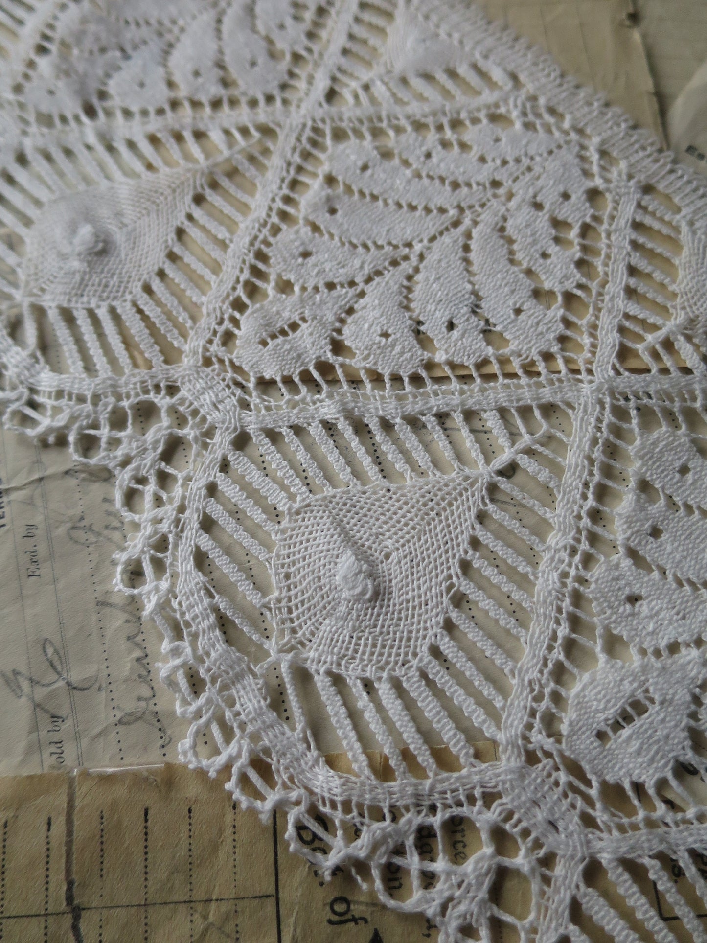 Off White English Nottingham Cluny Lace- Bedfordshire/ Le Puy Guipure Leaves- 15.5 cm