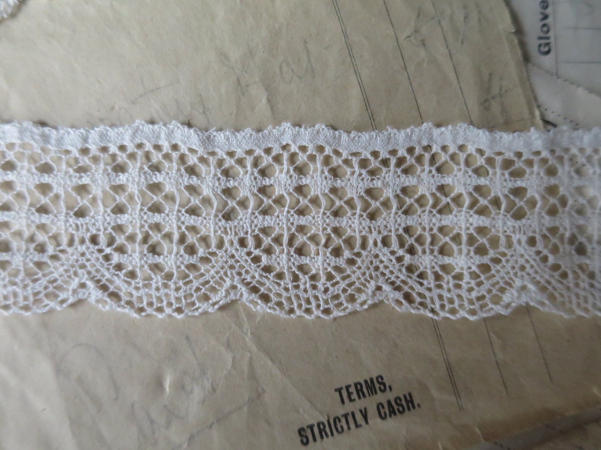 Ecru English Nottingham Lace- Scalloped Net Guipure- 3.5 cm