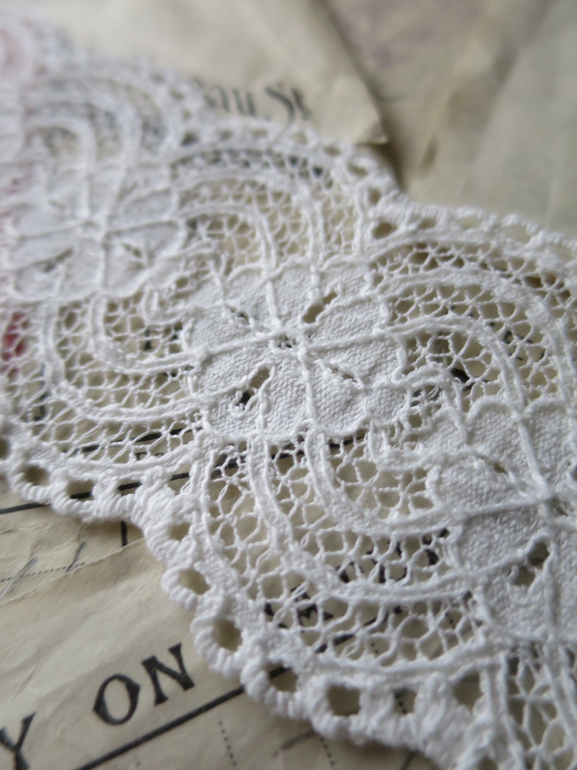 Off White English Nottingham Lace- Raised Floral- Galloon- 5.5 cm