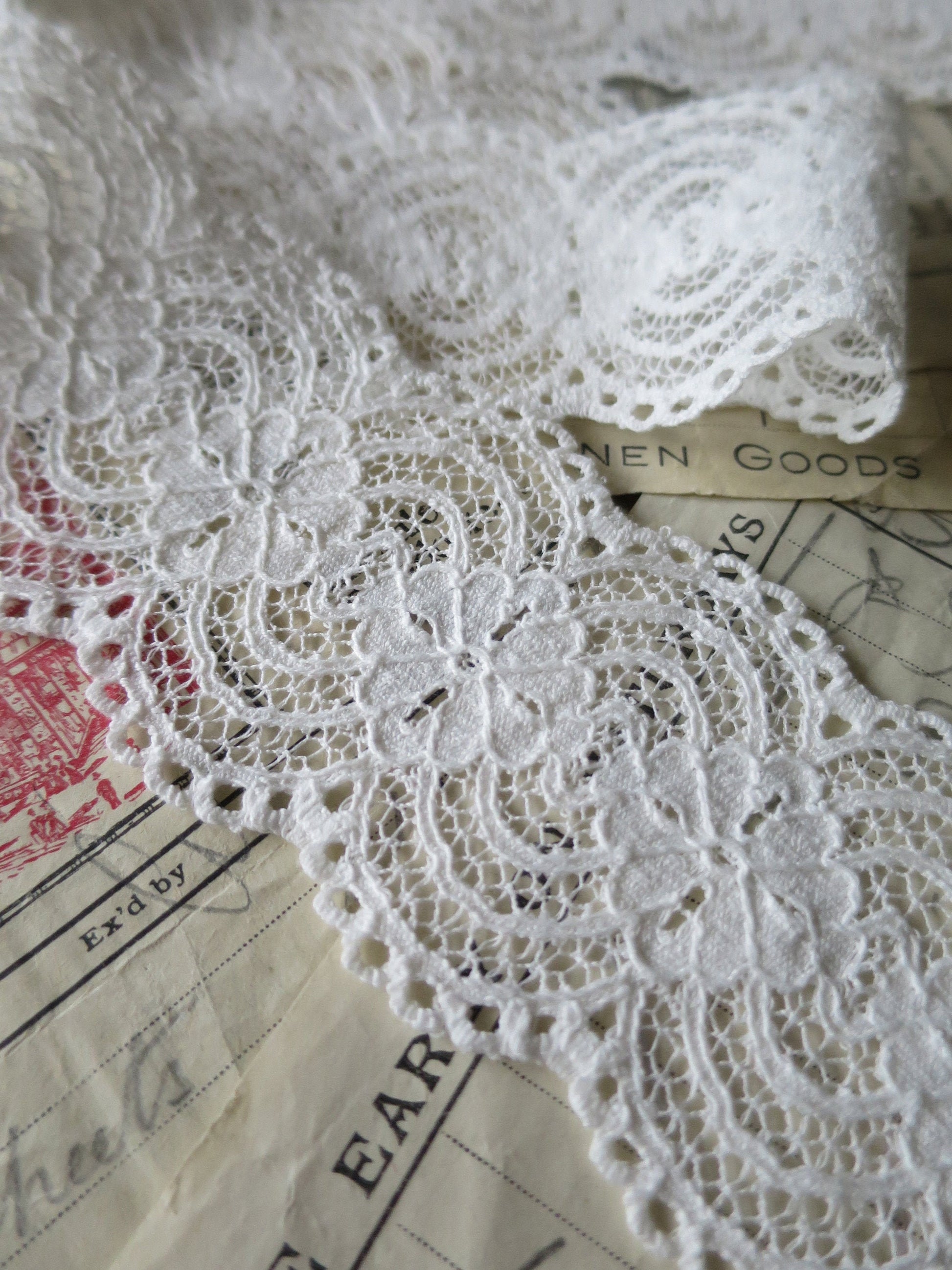 Off White English Nottingham Lace- Raised Floral- Galloon- 5.5 cm
