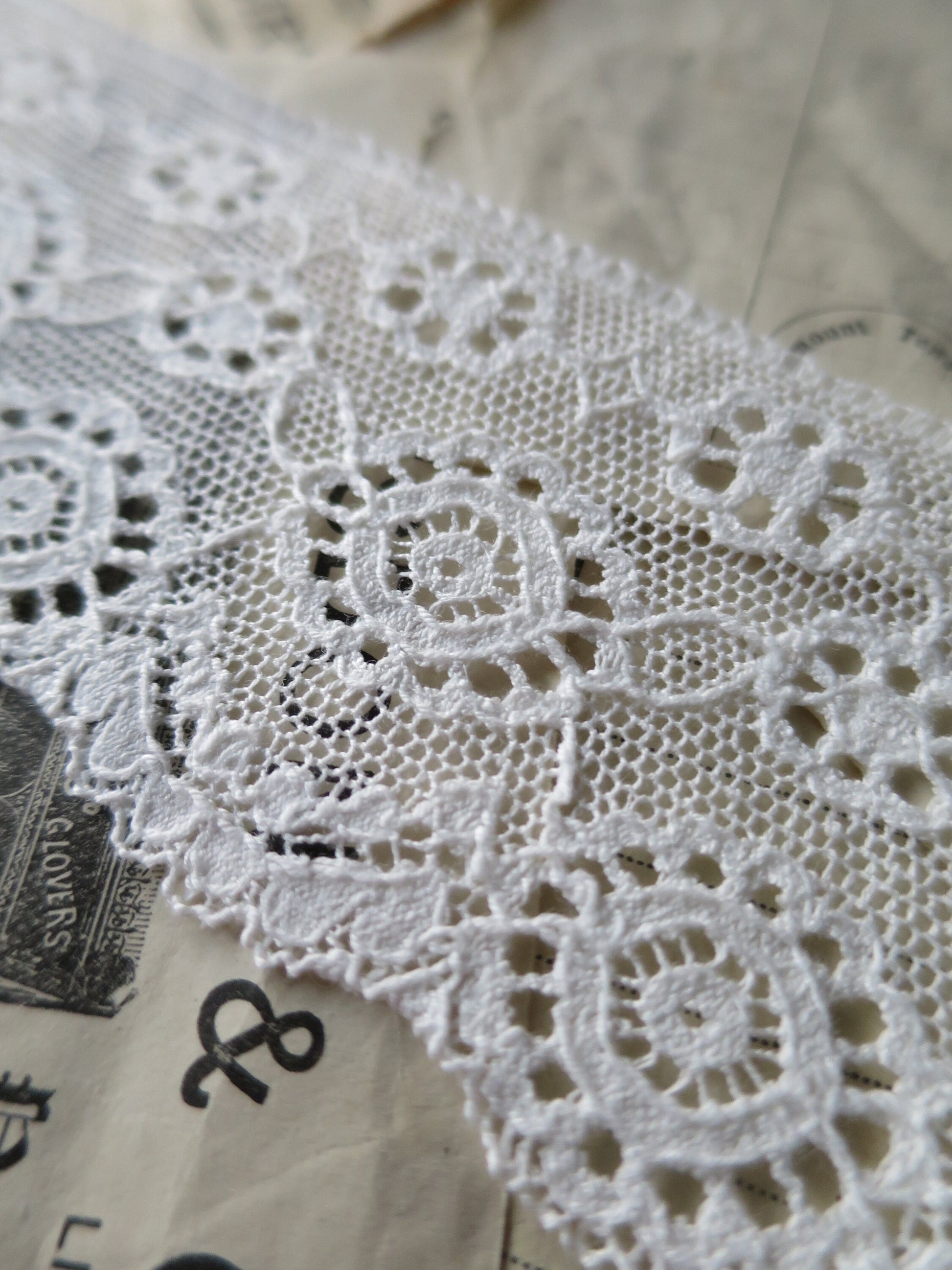 Off White English Nottingham Lace- Broderie Anglaise- 5.5 cm