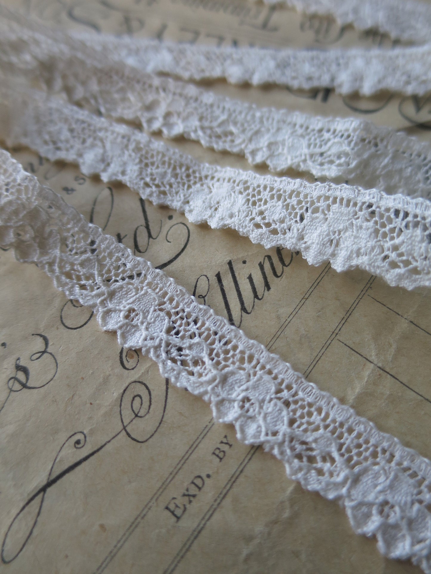 Ecru English Nottingham Lace- Scalloped Raised Floral Guipure- 1.3 cm