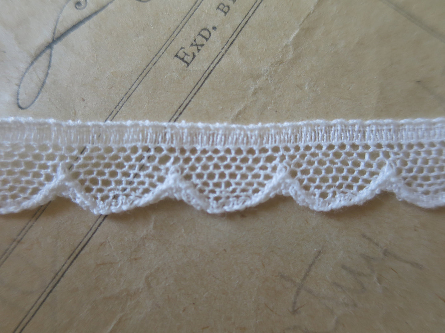 Off White English Nottingham Lace- Scalloped Net- 1.3 cm