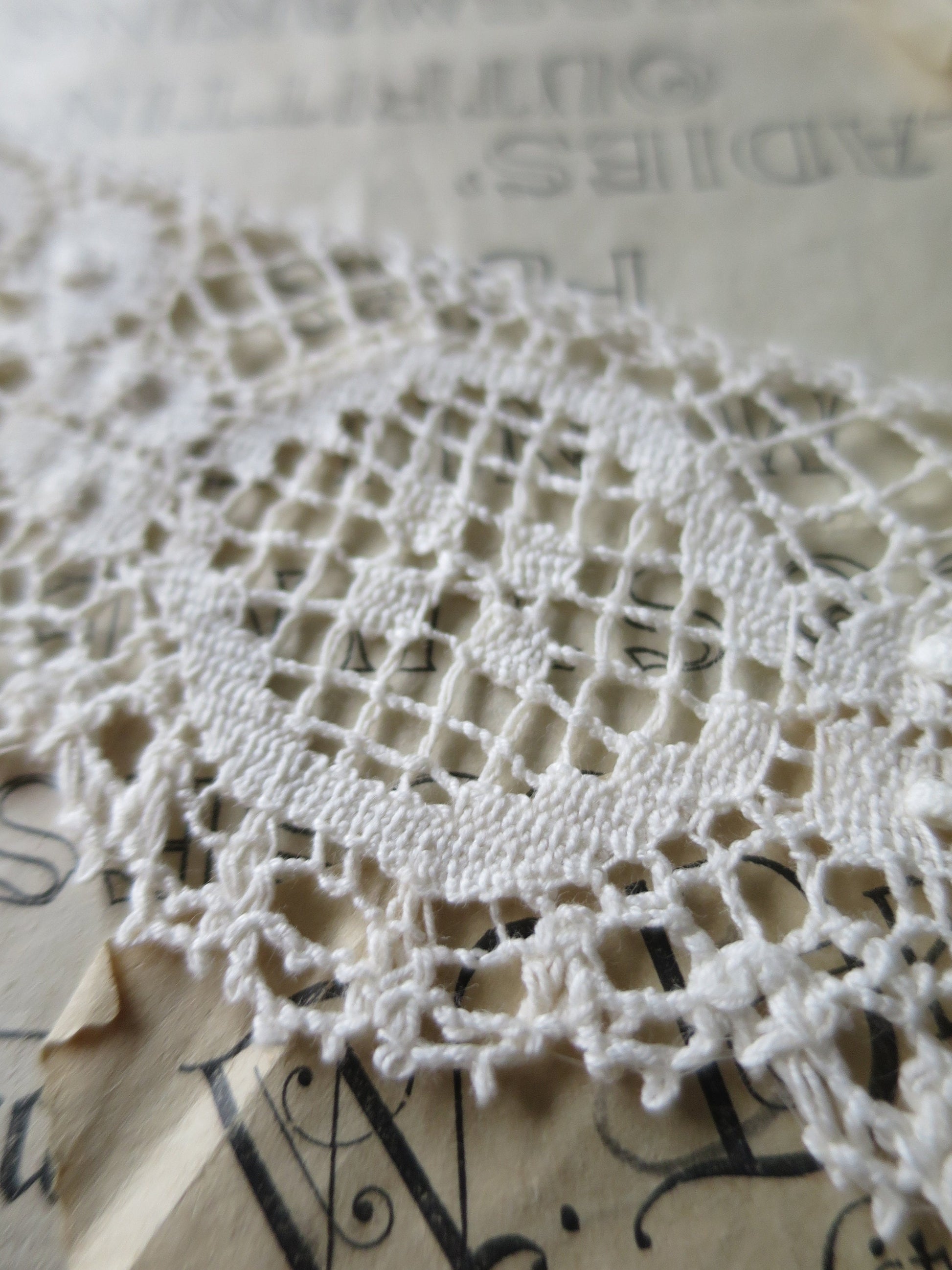 Ecru English Nottingham Cluny Lace- Raised Floral & Oval Torchon Guipure- 6 cm