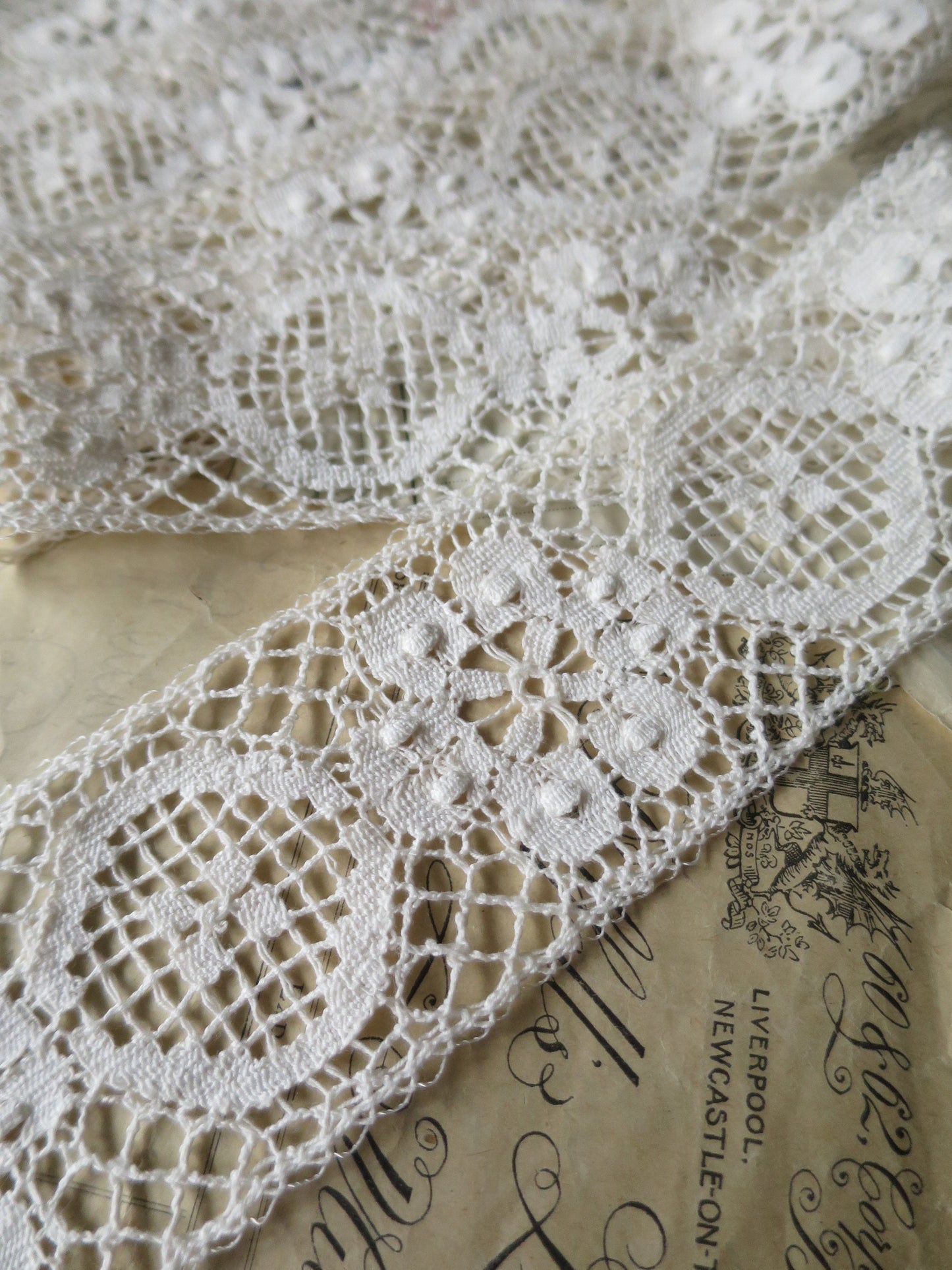 Ecru English Nottingham Cluny Lace- Raised Floral & Oval Torchon Guipure- Insertion- 6 cm
