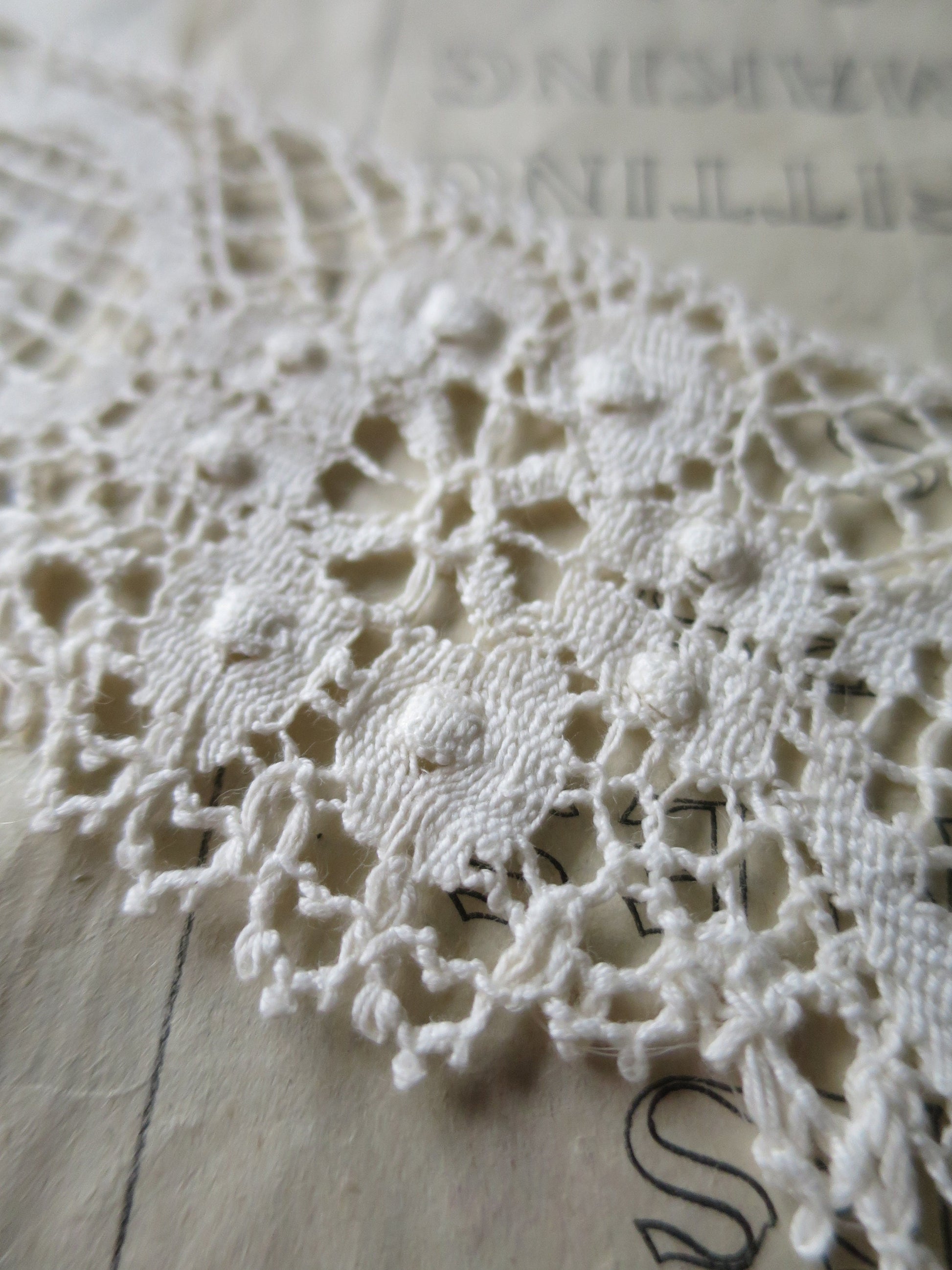 Ecru English Nottingham Cluny Lace- Raised Floral & Oval Torchon Guipure- 6 cm