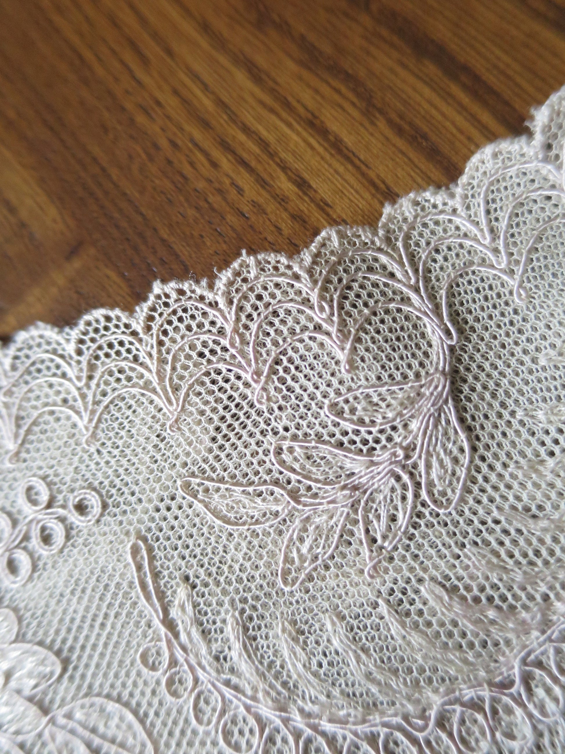 Antique Edwardian Schiffli Lace Dress Yoke
