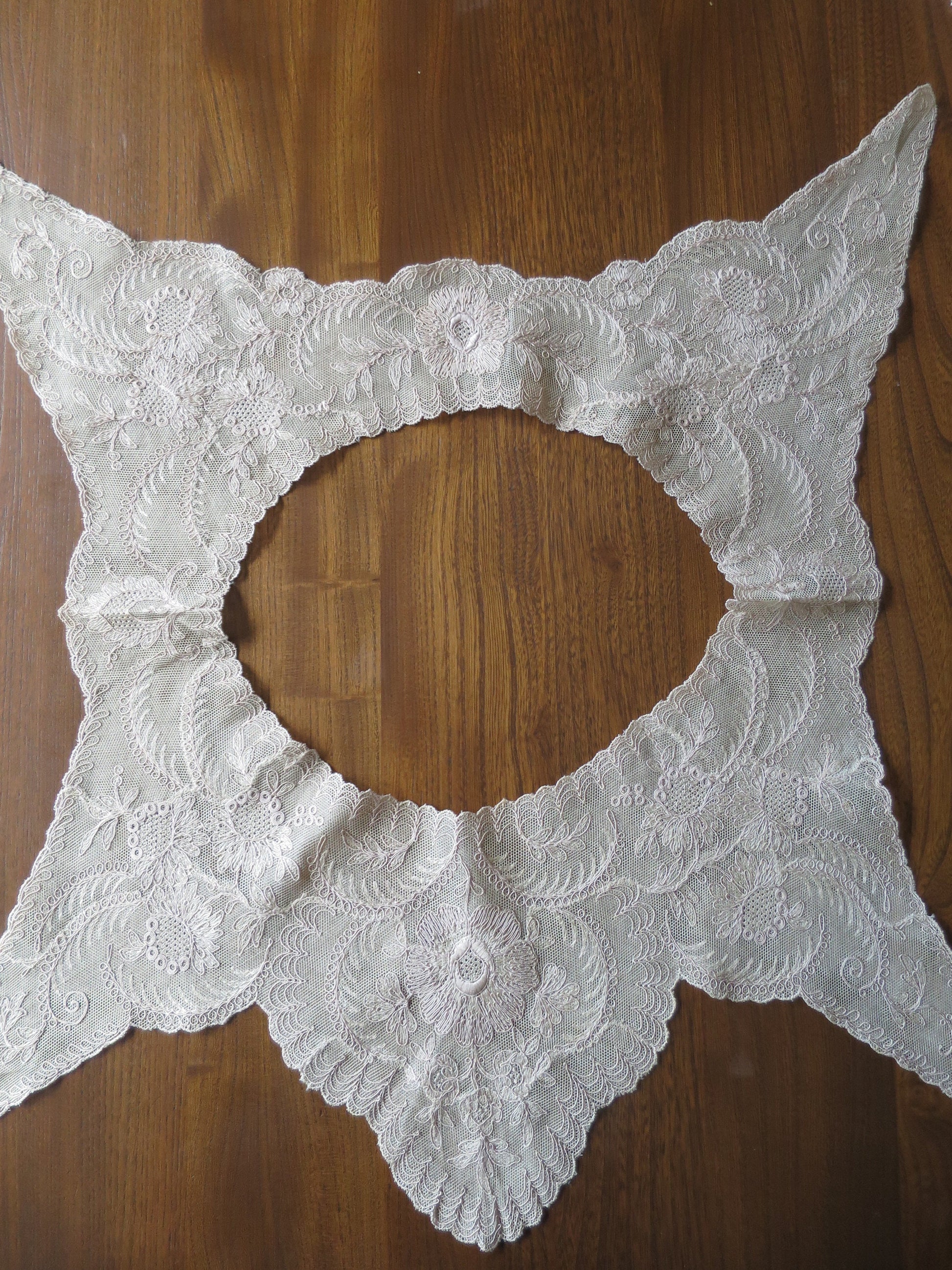 Antique Edwardian Schiffli Lace Dress Yoke