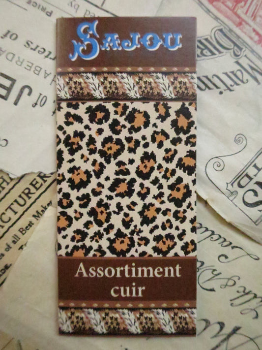 Sajou Booklet 6 Leatherwork Needles