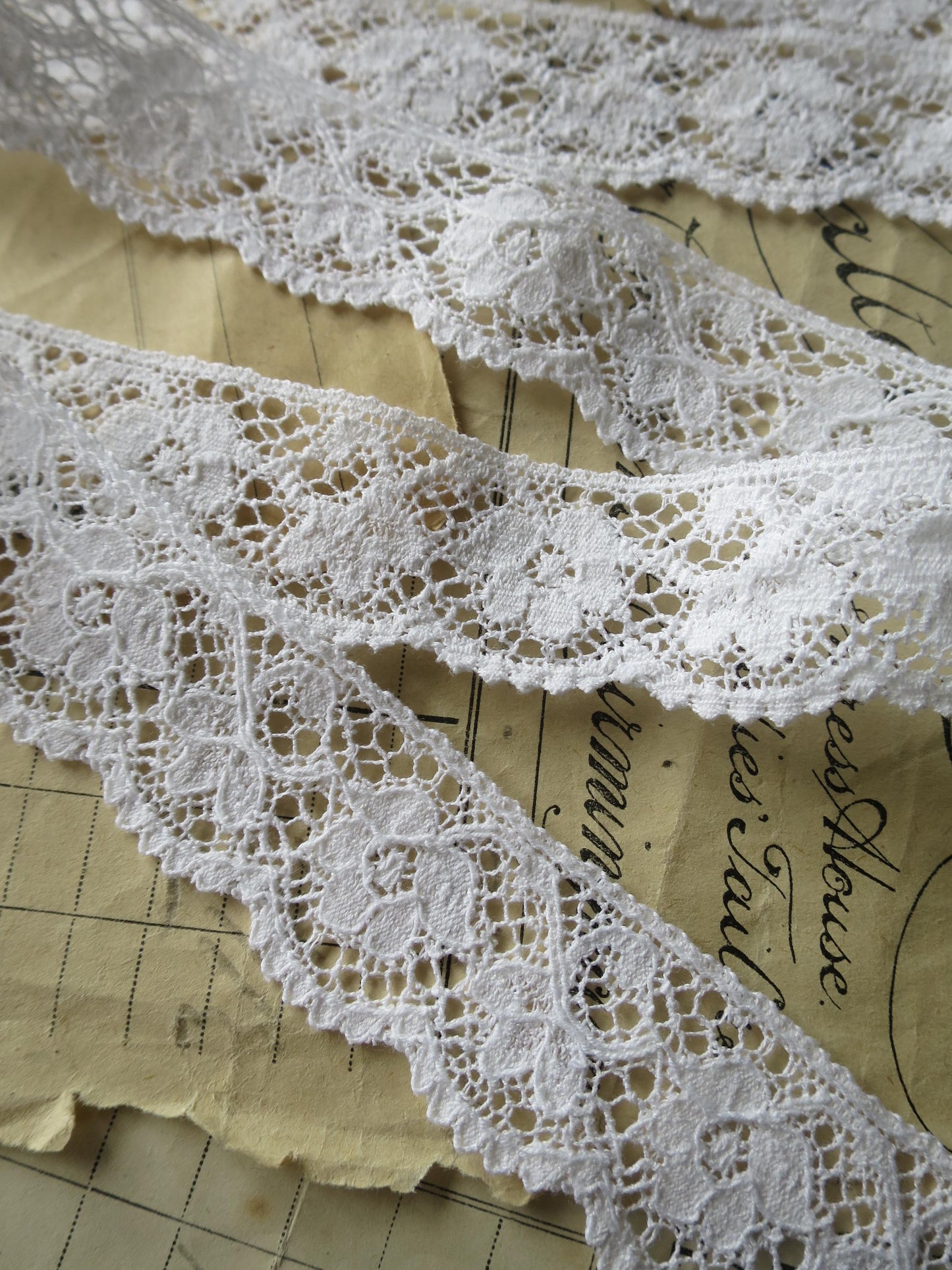 White English Nottingham Lace- Scalloped Raised Floral Guipure- 2.7 cm
