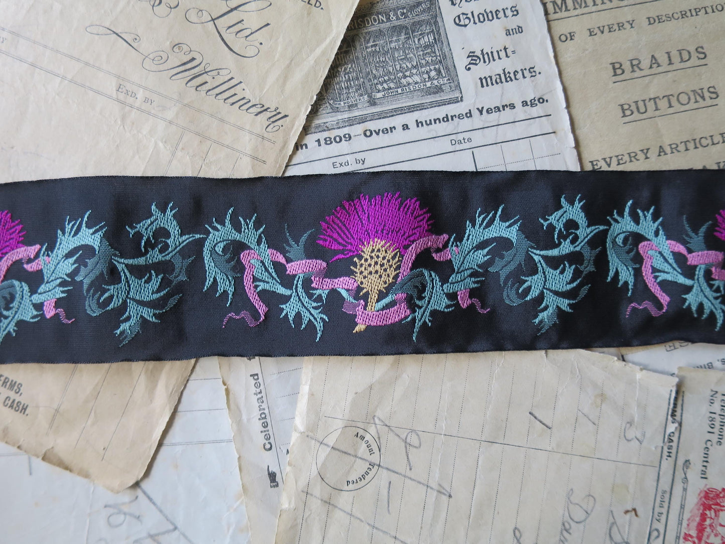 Scottish Thistles 50 mm Jacquard Woven Ribbon- Black & Bright
