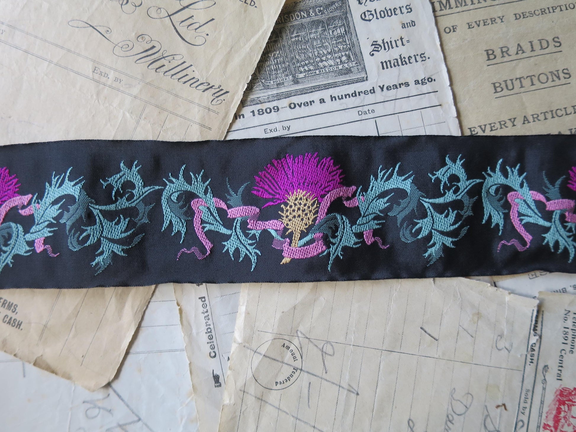 Scottish Thistles 50 mm Jacquard Woven Ribbon- Black & Bright