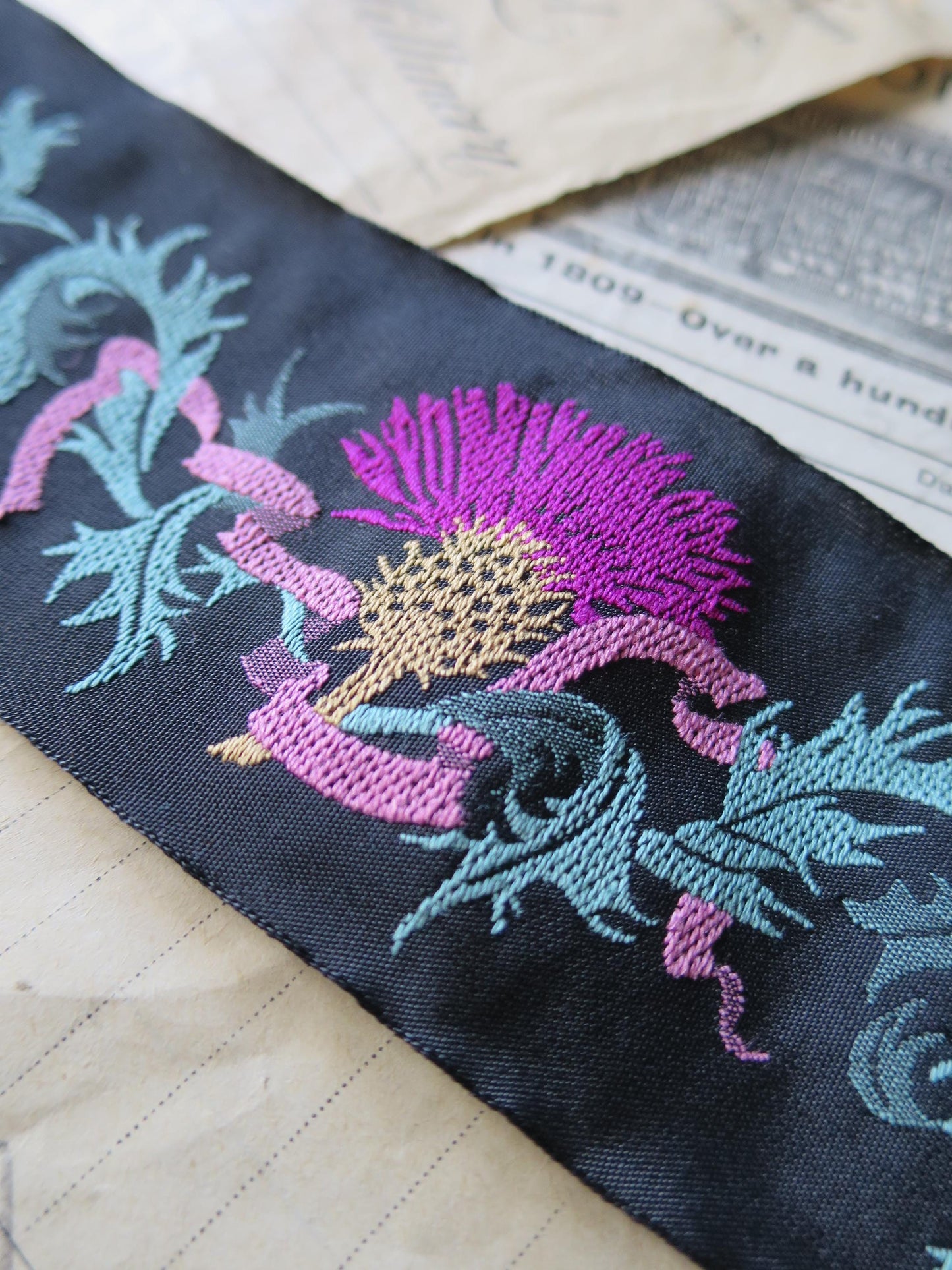 Scottish Thistles 50 mm Jacquard Woven Ribbon- Black & Bright