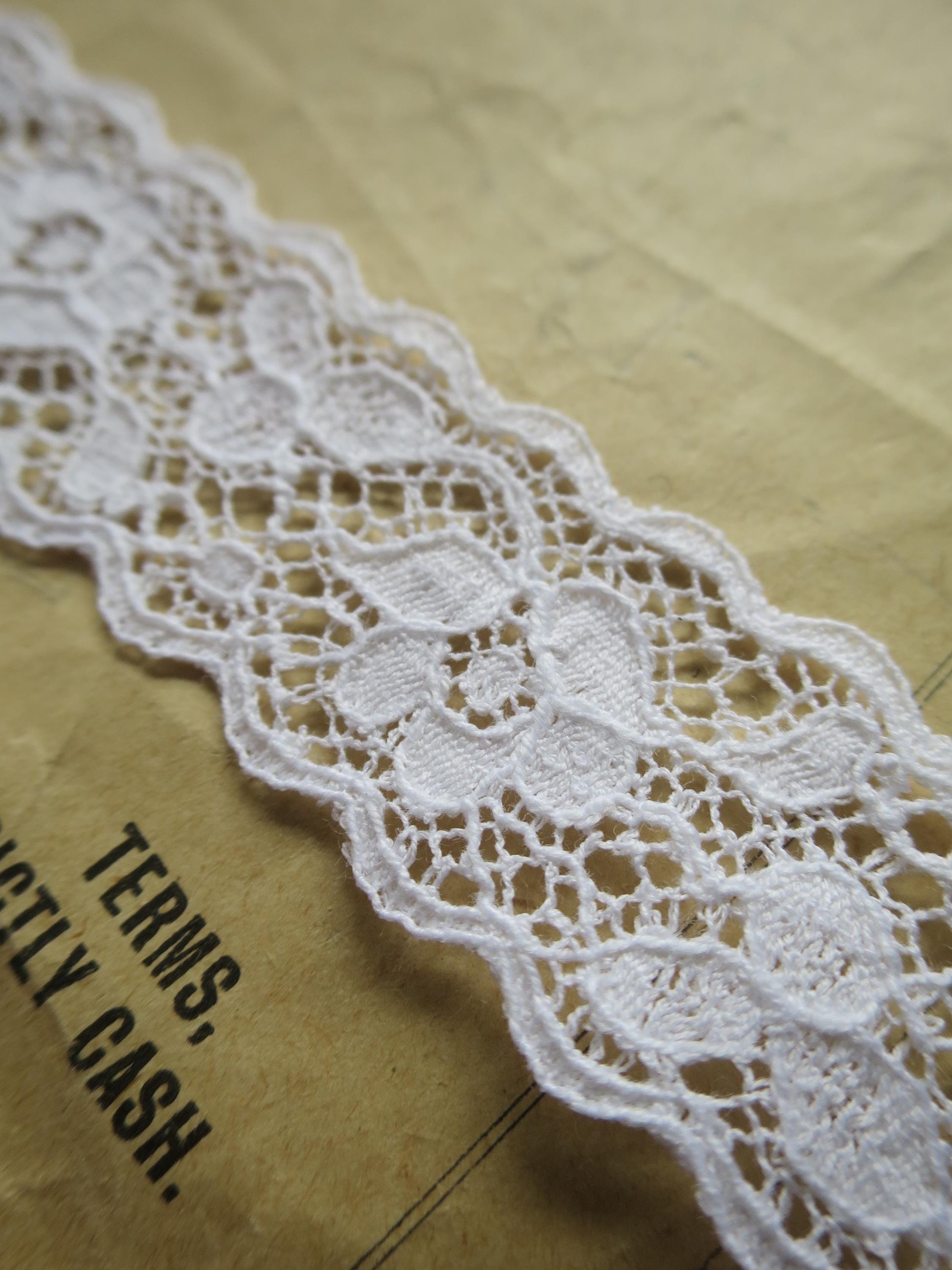 White English Nottingham Lace- Scalloped Raised Floral Guipure- Galloon- 2.7 cm