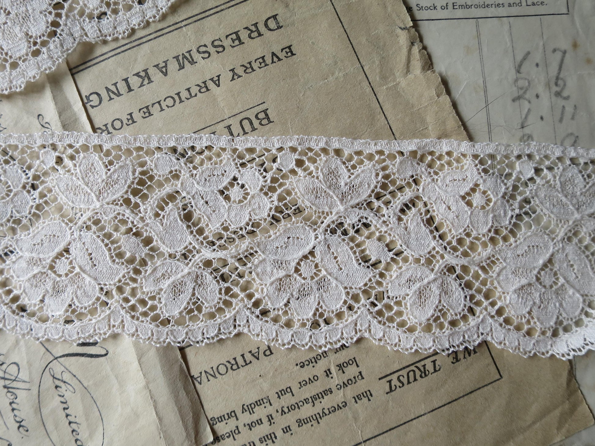 Ecru English Nottingham Lace- Scalloped Raised Floral Guipure- 5.5 cm