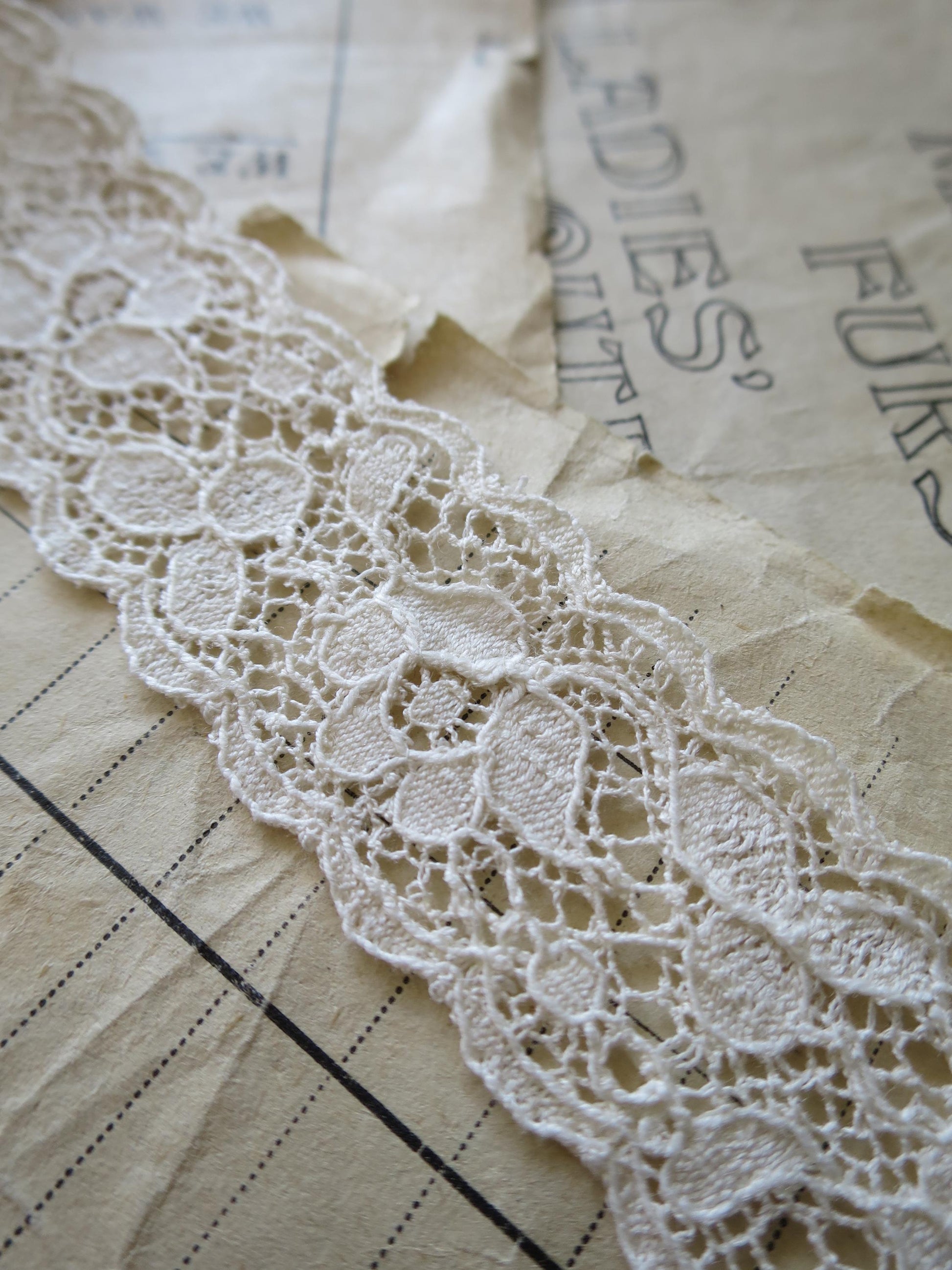 Ecru English Nottingham Lace- Scalloped Raised Floral Guipure- Galloon- 2.7 cm