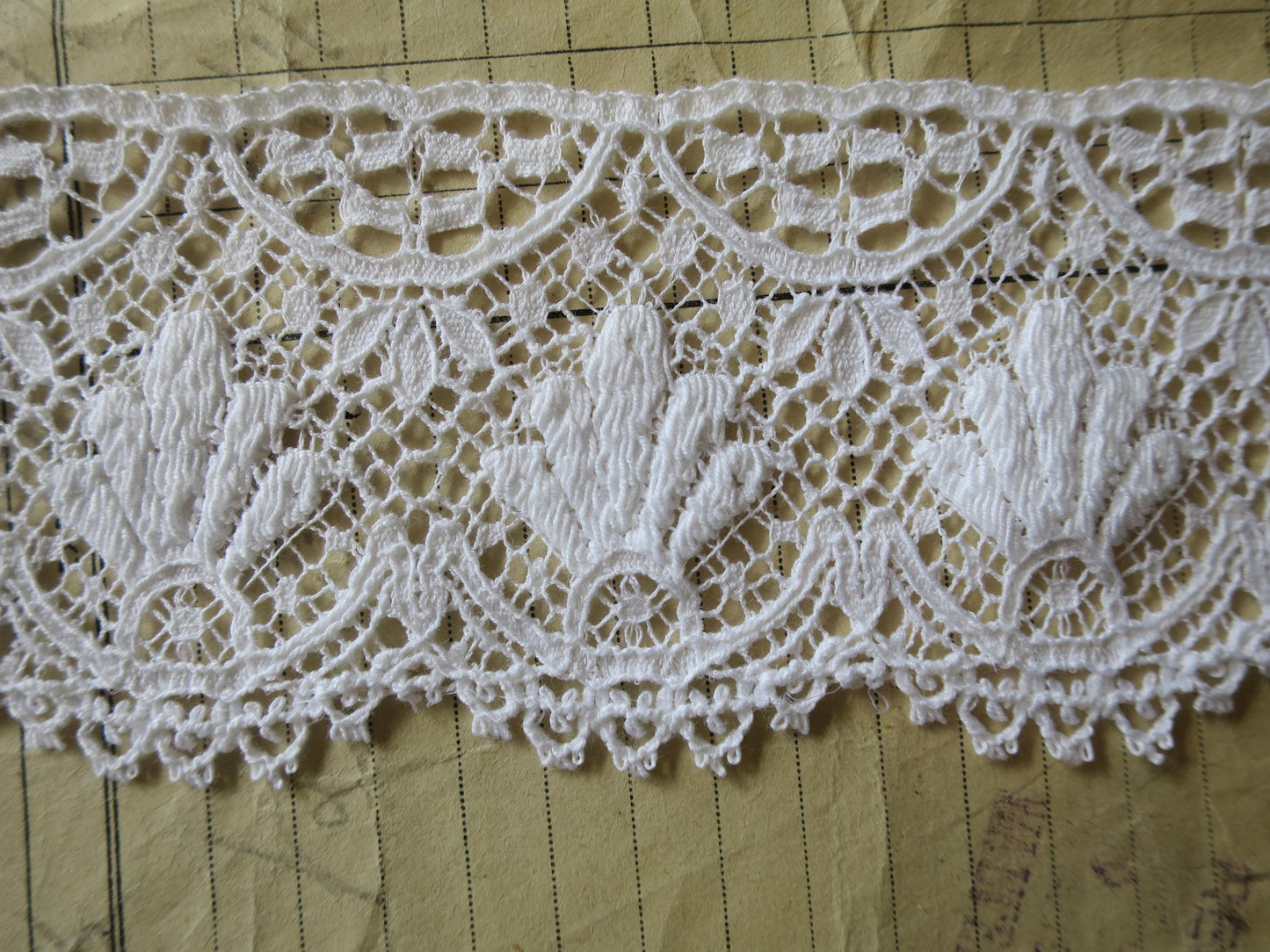 White English Nottingham Lace- Baroque Guipure- 5.5 cm