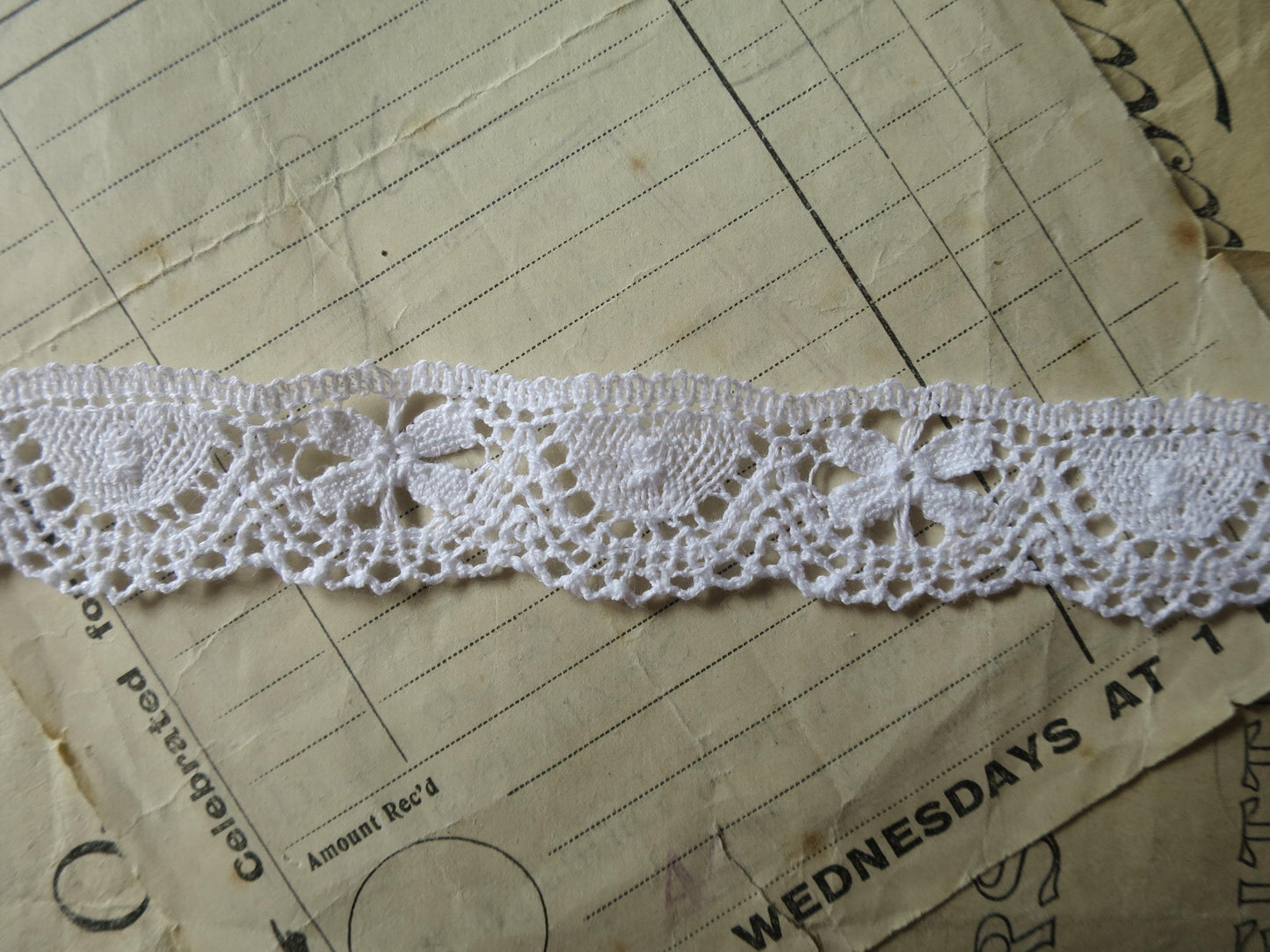White English Nottingham Cluny Lace- Butterflies & Cartouches- 2.3 cm