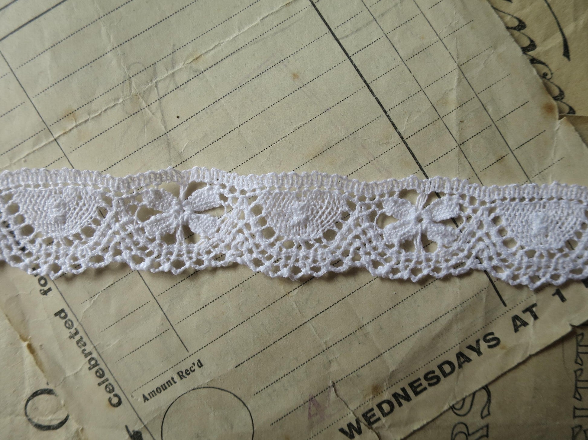 White English Nottingham Cluny Lace- Butterflies & Cartouches- 2.3 cm