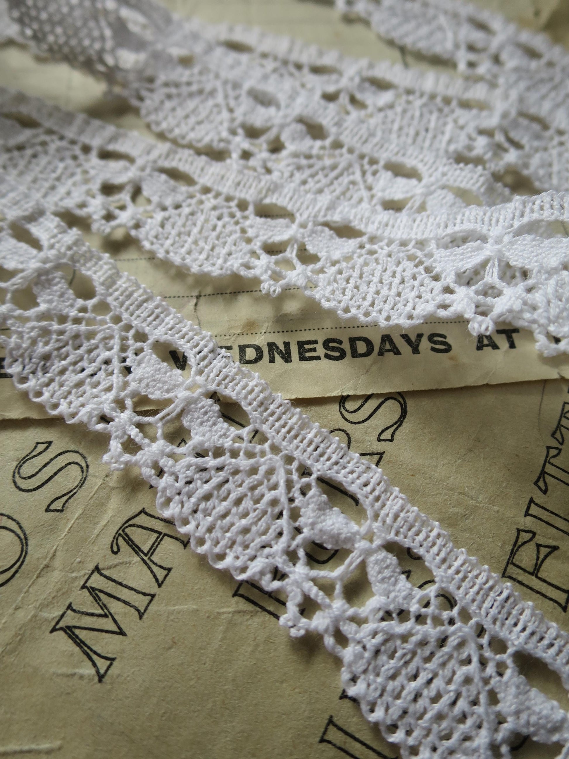 Off White English Nottingham Cluny Lace- Dragonflies & Cartouches- 2.3 cm